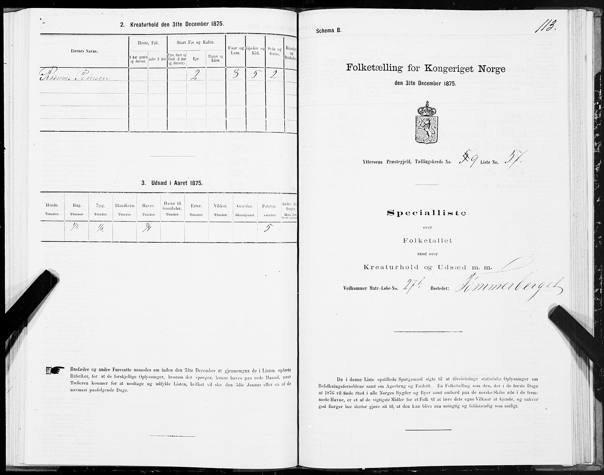 SAT, 1875 census for 1722P Ytterøy, 1875, p. 5113