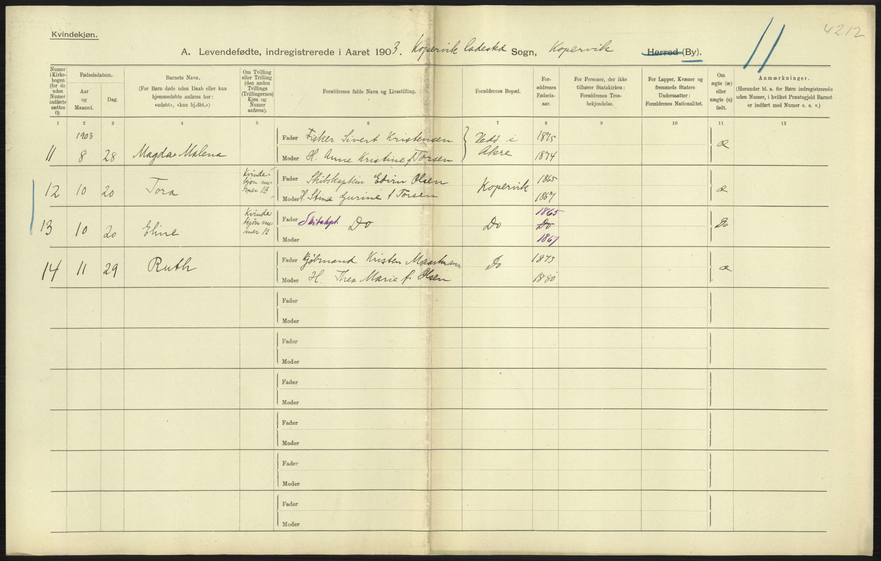 Statistisk sentralbyrå, Sosiodemografiske emner, Befolkning, AV/RA-S-2228/D/Df/Dfa/Dfaa/L0012: Stavanger amt: Fødte, gifte, døde, 1903, p. 309