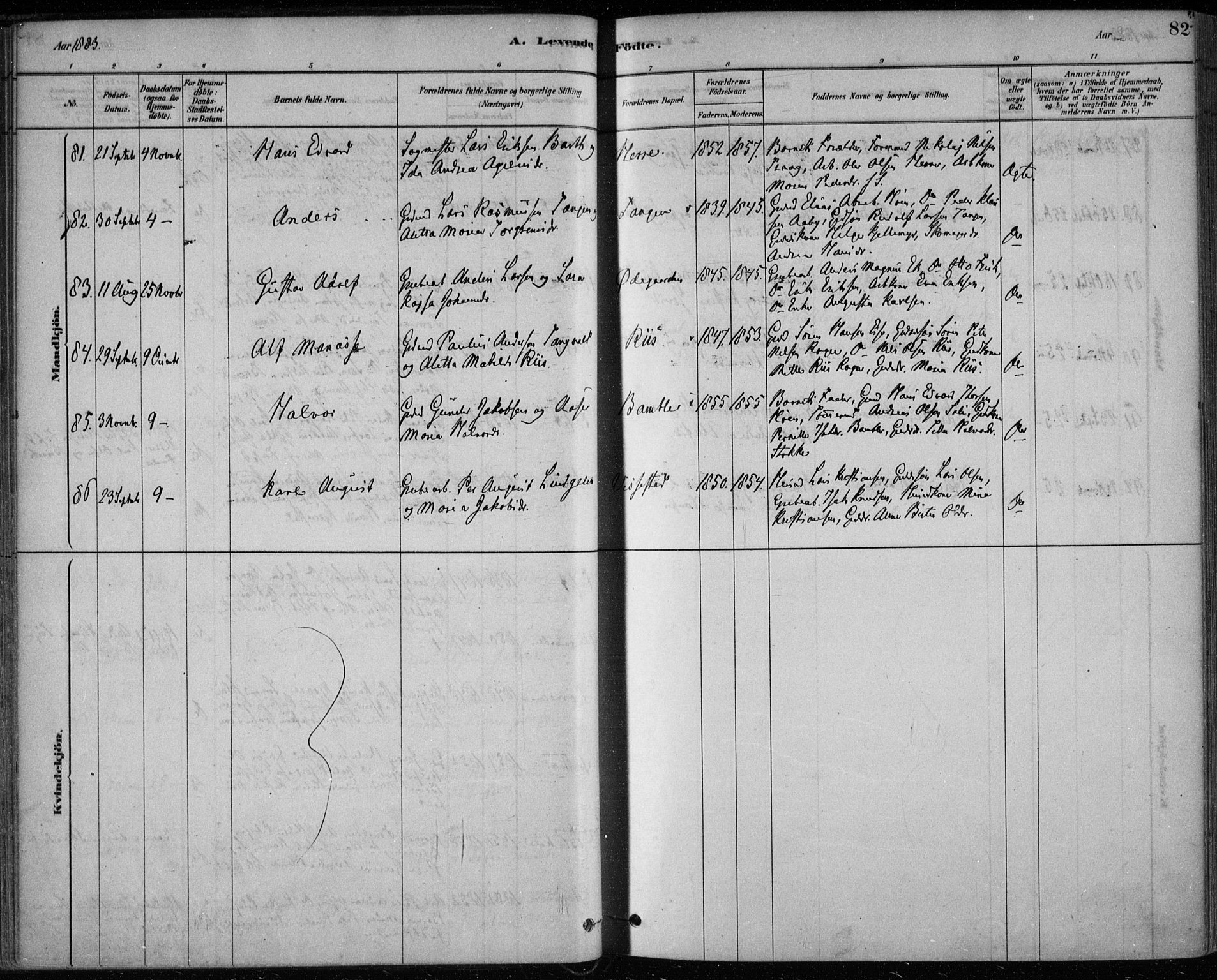 Bamble kirkebøker, AV/SAKO-A-253/F/Fa/L0007: Parish register (official) no. I 7, 1878-1888, p. 82