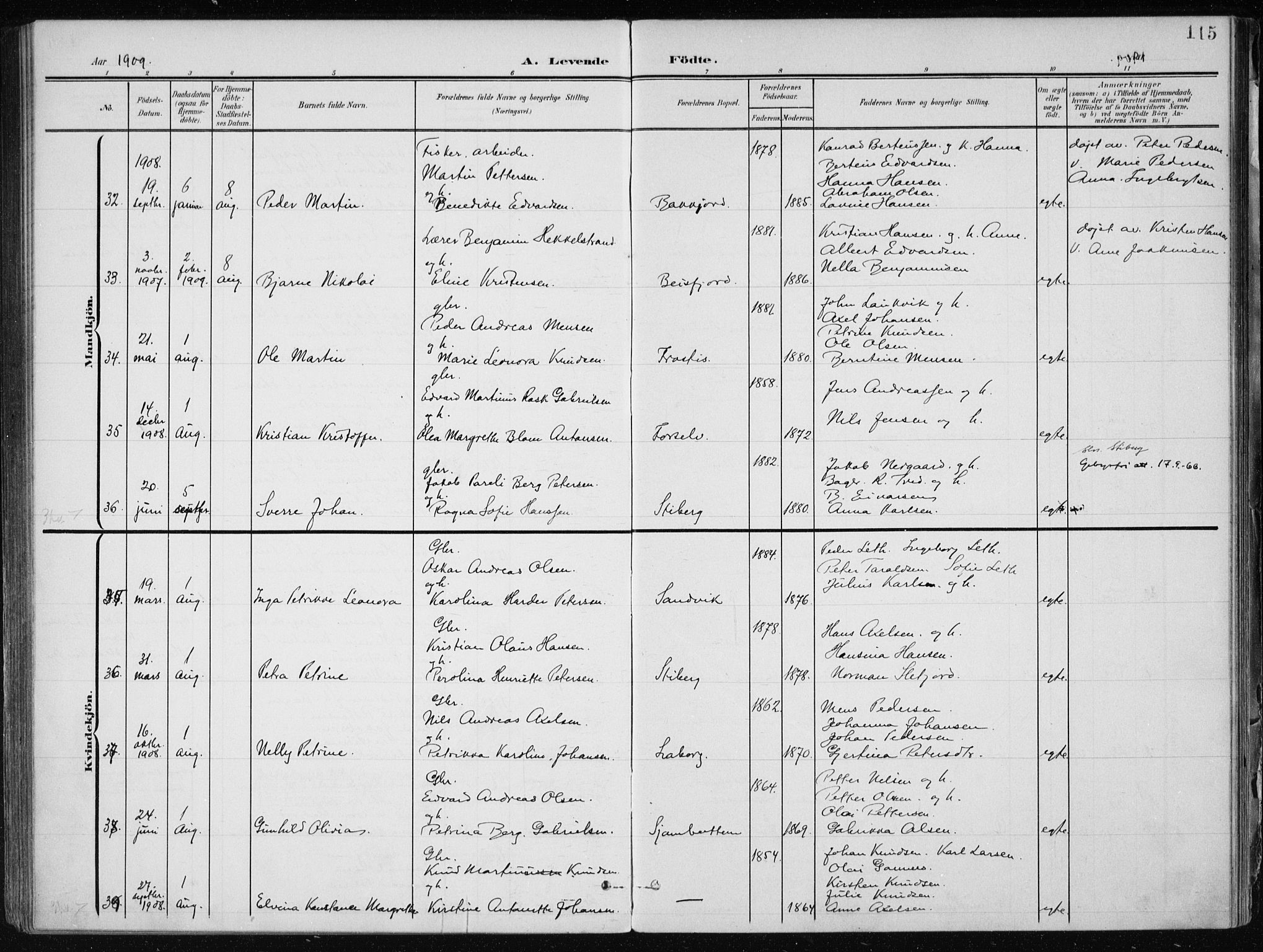 Ministerialprotokoller, klokkerbøker og fødselsregistre - Nordland, AV/SAT-A-1459/866/L0941: Parish register (official) no. 866A04, 1901-1917, p. 115