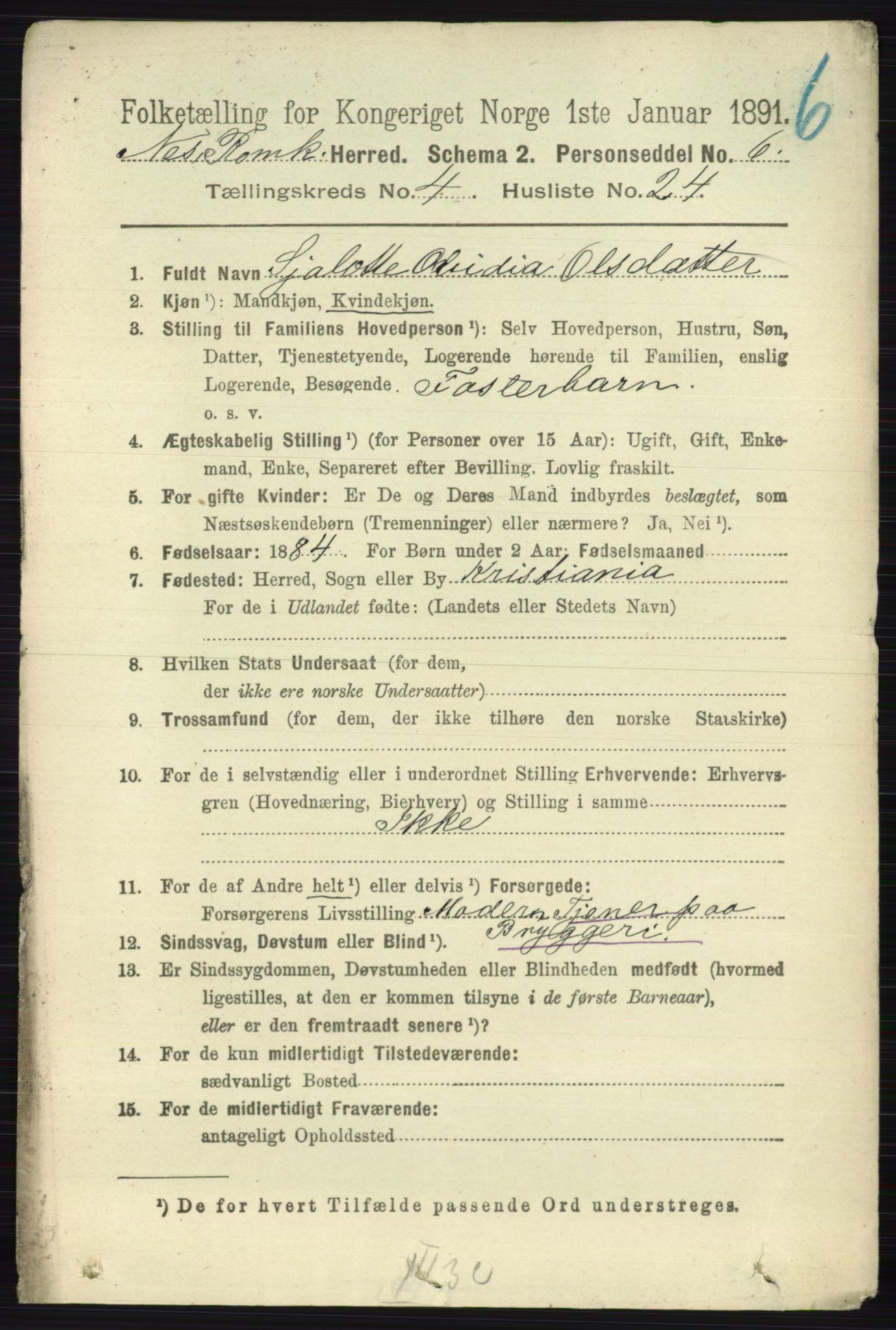 RA, 1891 census for 0236 Nes, 1891, p. 2396