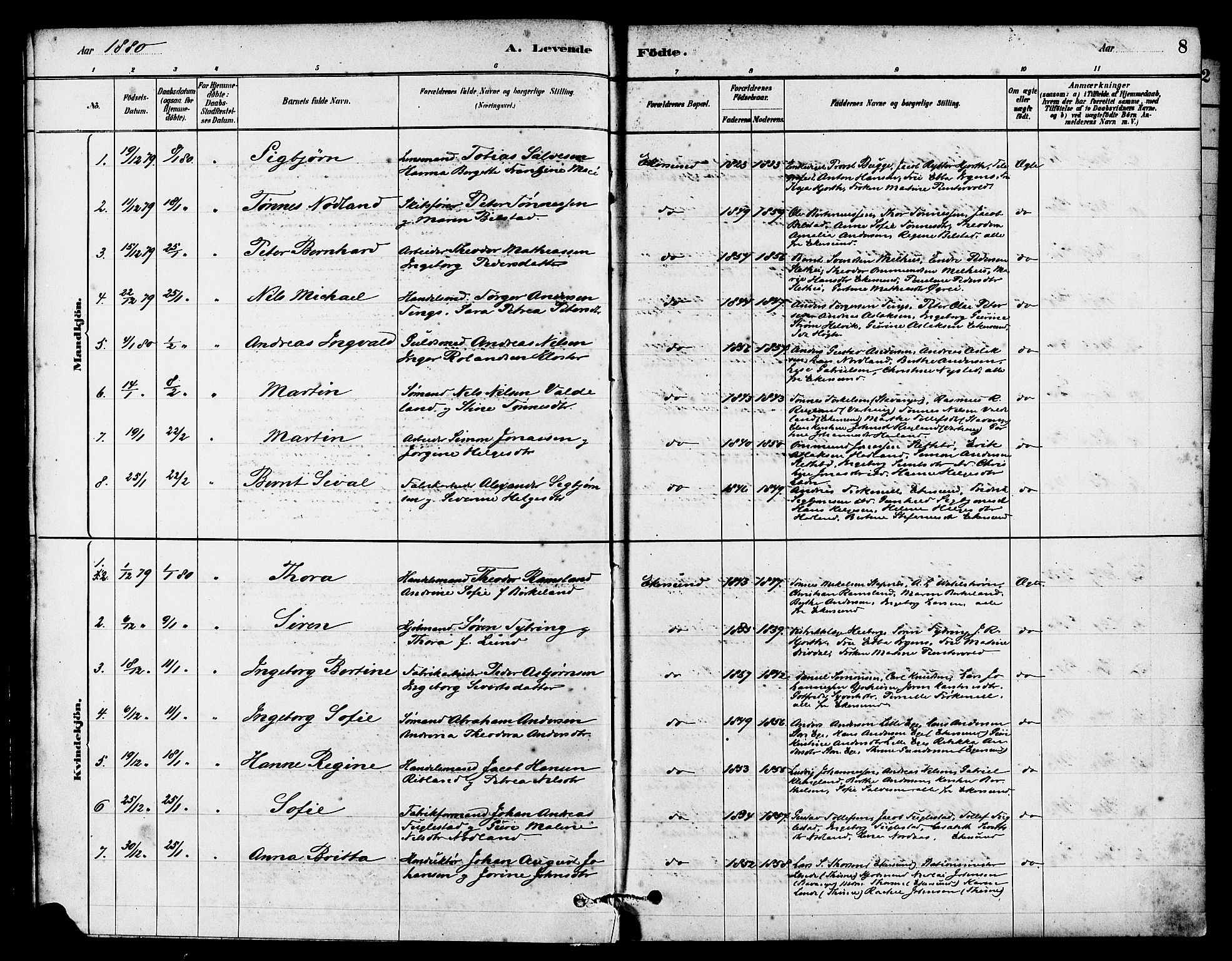 Eigersund sokneprestkontor, SAST/A-101807/S08/L0015: Parish register (official) no. A 15, 1879-1892, p. 8