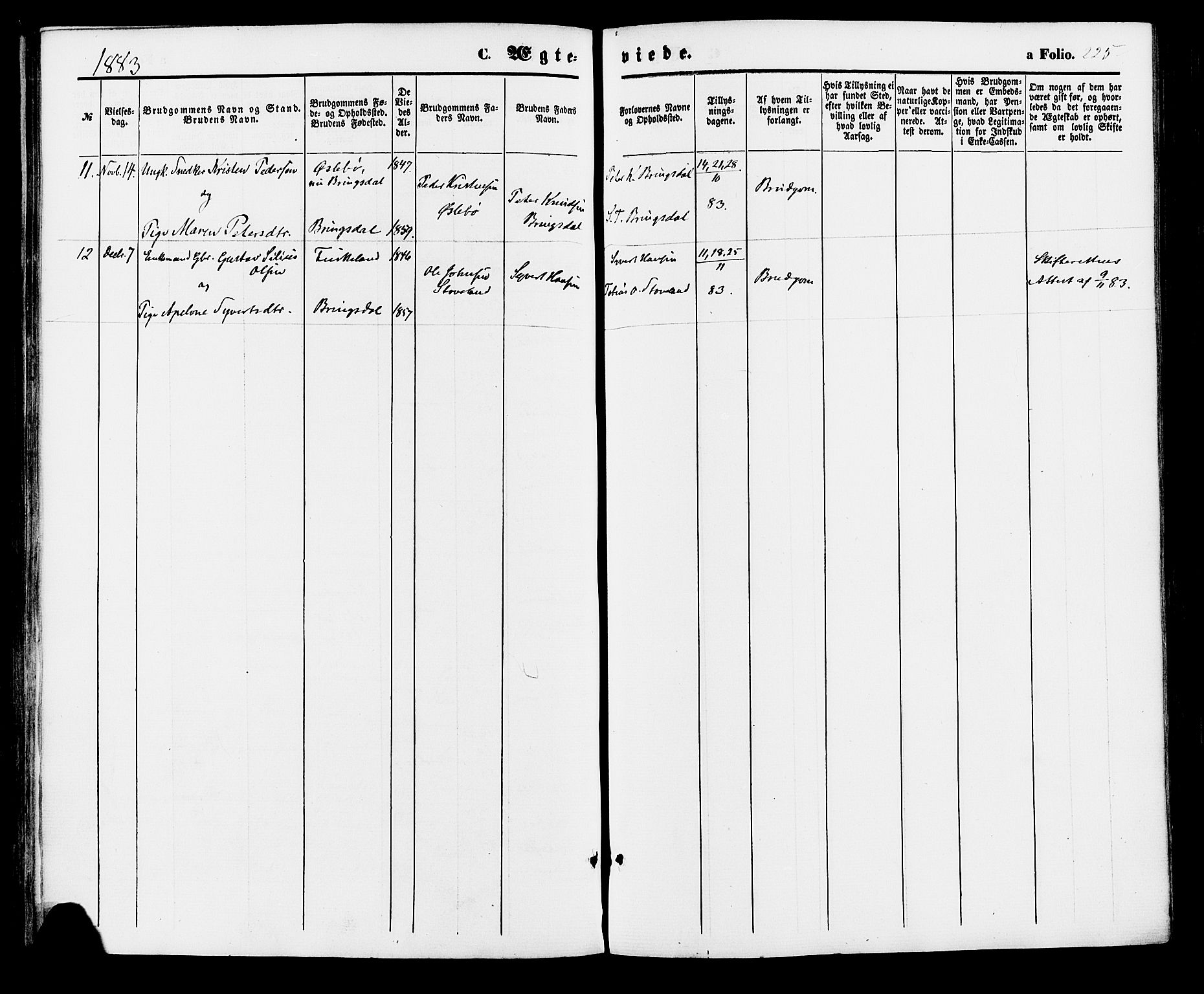 Holum sokneprestkontor, AV/SAK-1111-0022/F/Fa/Faa/L0006: Parish register (official) no. A 6, 1865-1883, p. 225