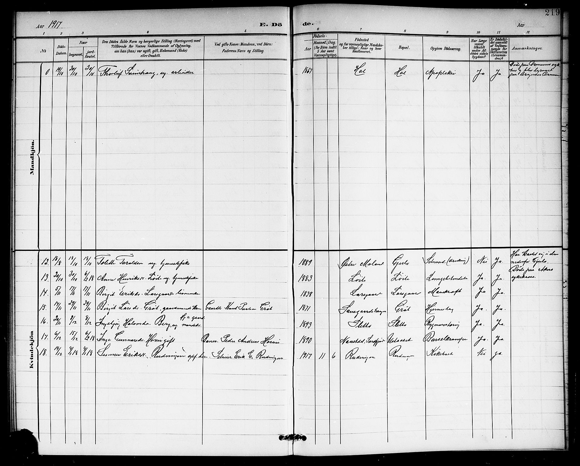 Hol kirkebøker, AV/SAKO-A-227/G/Ga/L0001: Parish register (copy) no. I 1, 1900-1919, p. 219