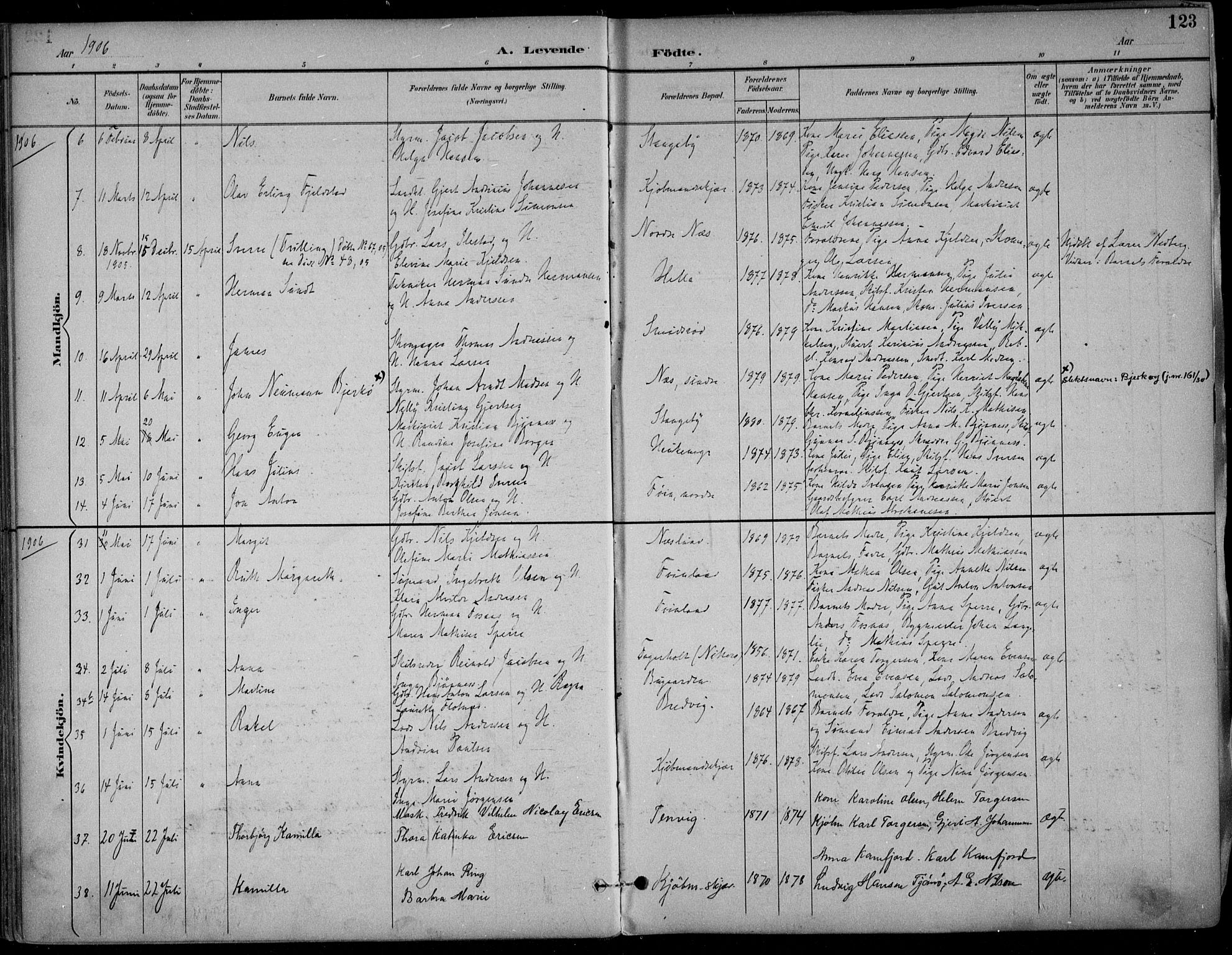 Nøtterøy kirkebøker, AV/SAKO-A-354/F/Fa/L0009: Parish register (official) no. I 9, 1894-1907, p. 123