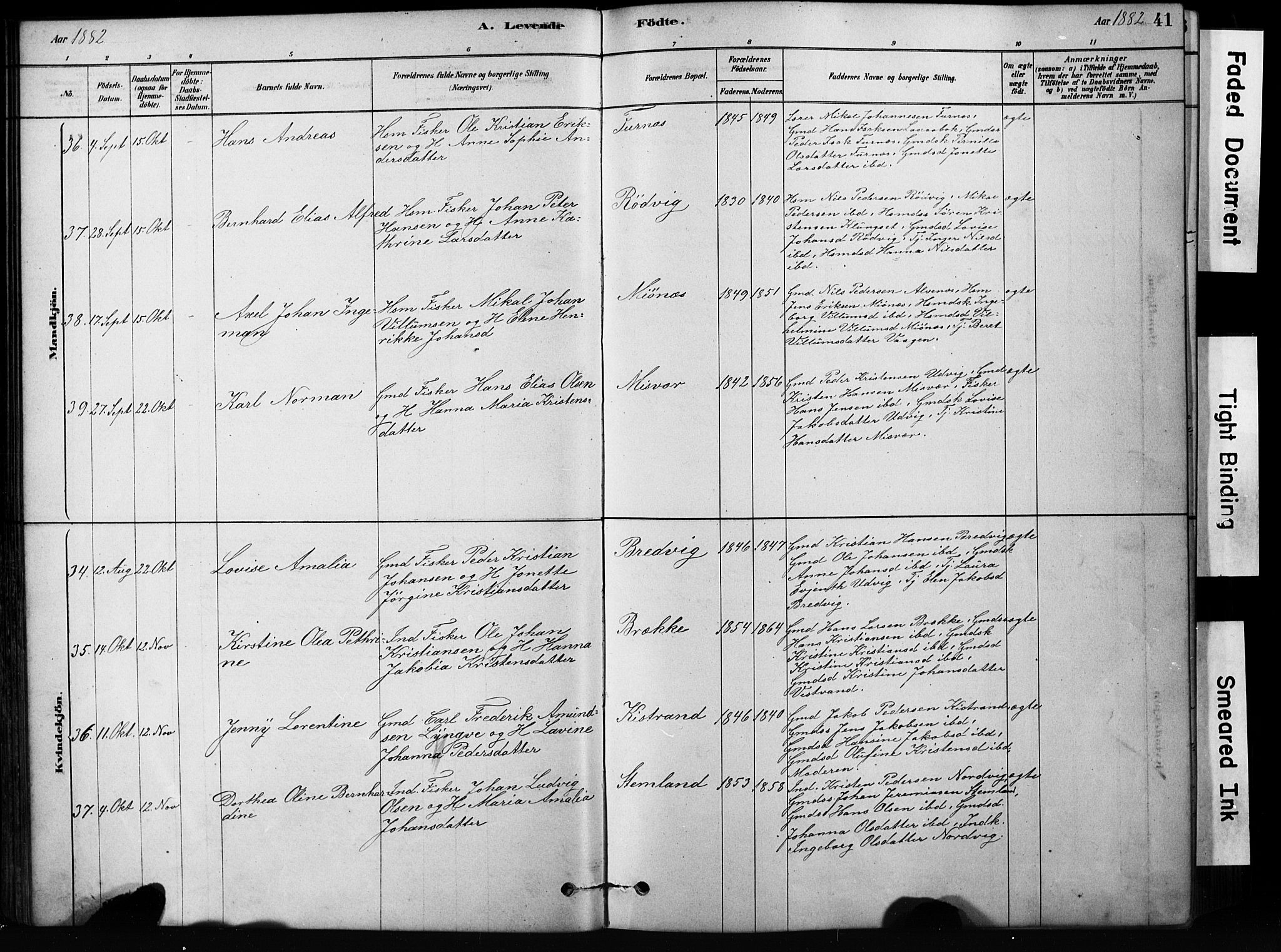 Ministerialprotokoller, klokkerbøker og fødselsregistre - Nordland, AV/SAT-A-1459/852/L0754: Parish register (copy) no. 852C05, 1878-1894, p. 41