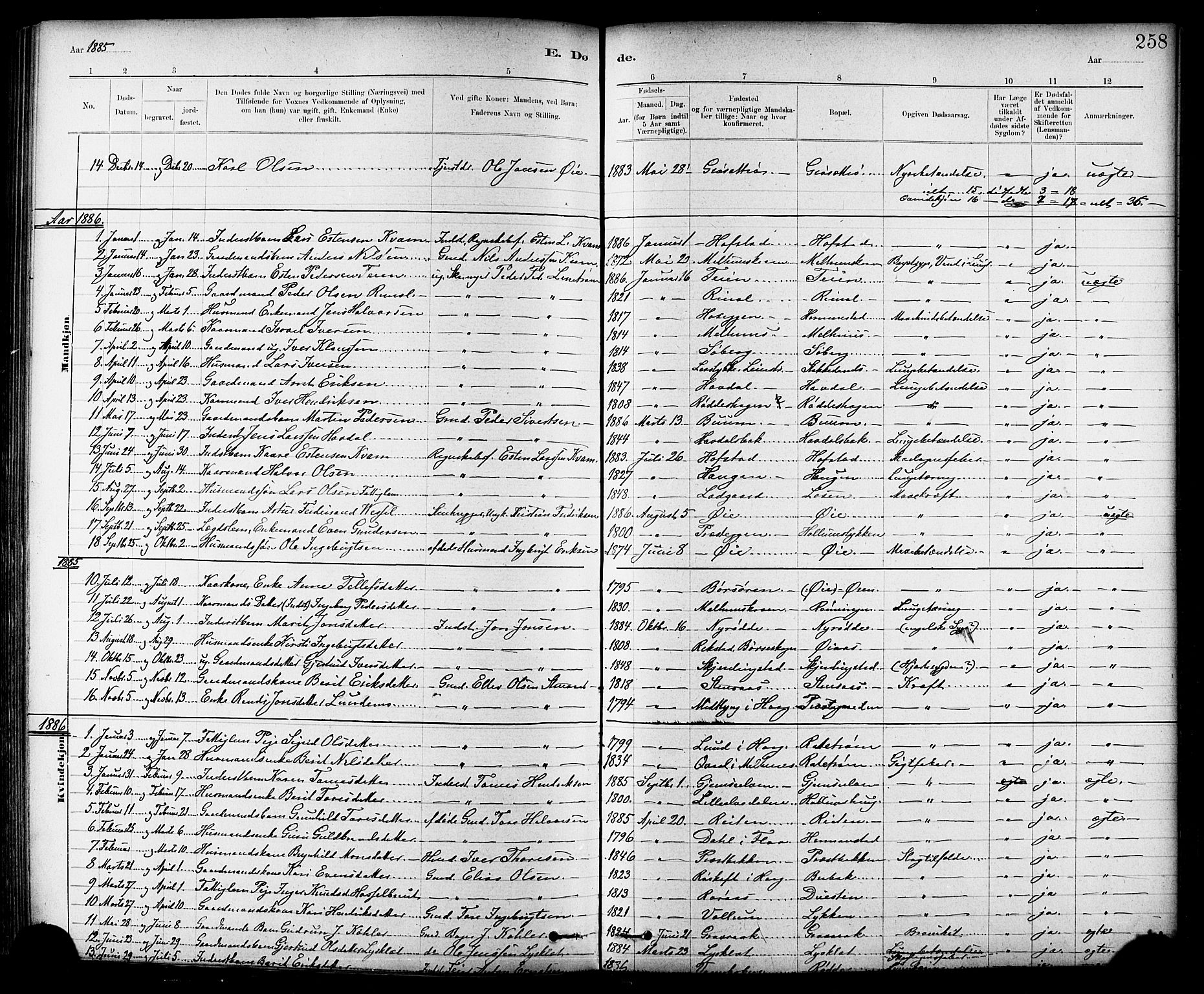 Ministerialprotokoller, klokkerbøker og fødselsregistre - Sør-Trøndelag, SAT/A-1456/691/L1094: Parish register (copy) no. 691C05, 1879-1911, p. 258