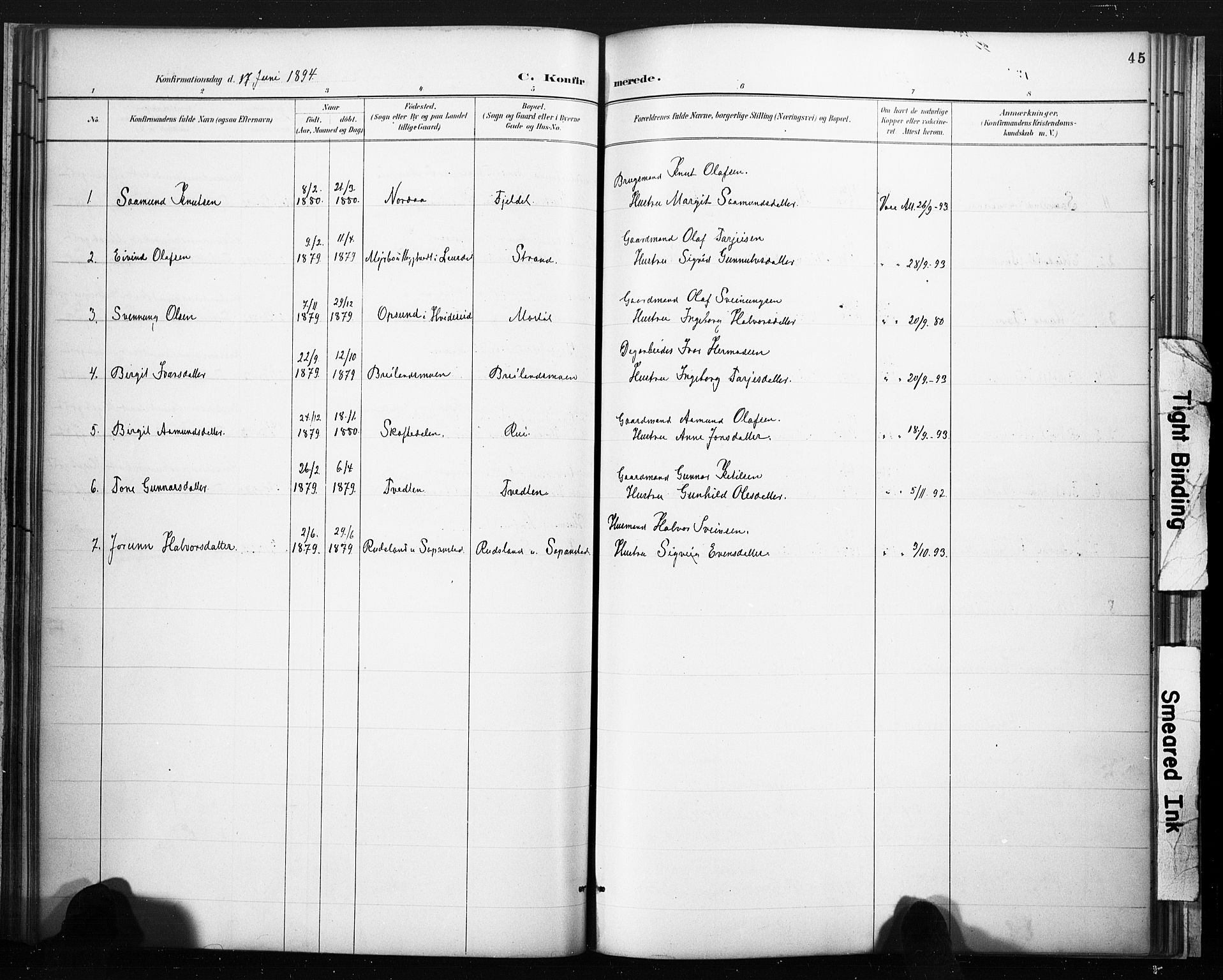 Lårdal kirkebøker, SAKO/A-284/F/Fc/L0002: Parish register (official) no. III 2, 1887-1906, p. 45