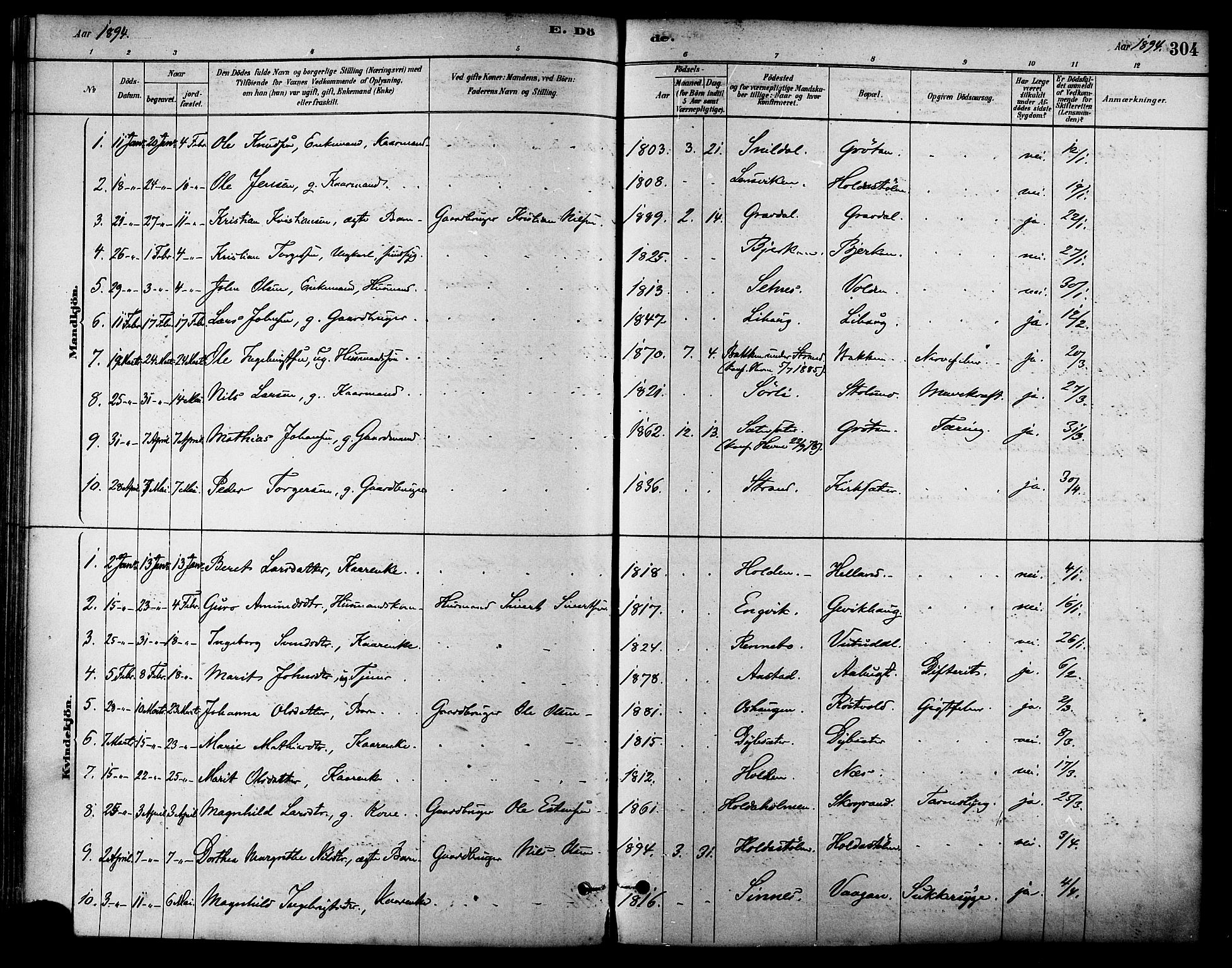 Ministerialprotokoller, klokkerbøker og fødselsregistre - Sør-Trøndelag, SAT/A-1456/630/L0496: Parish register (official) no. 630A09, 1879-1895, p. 304
