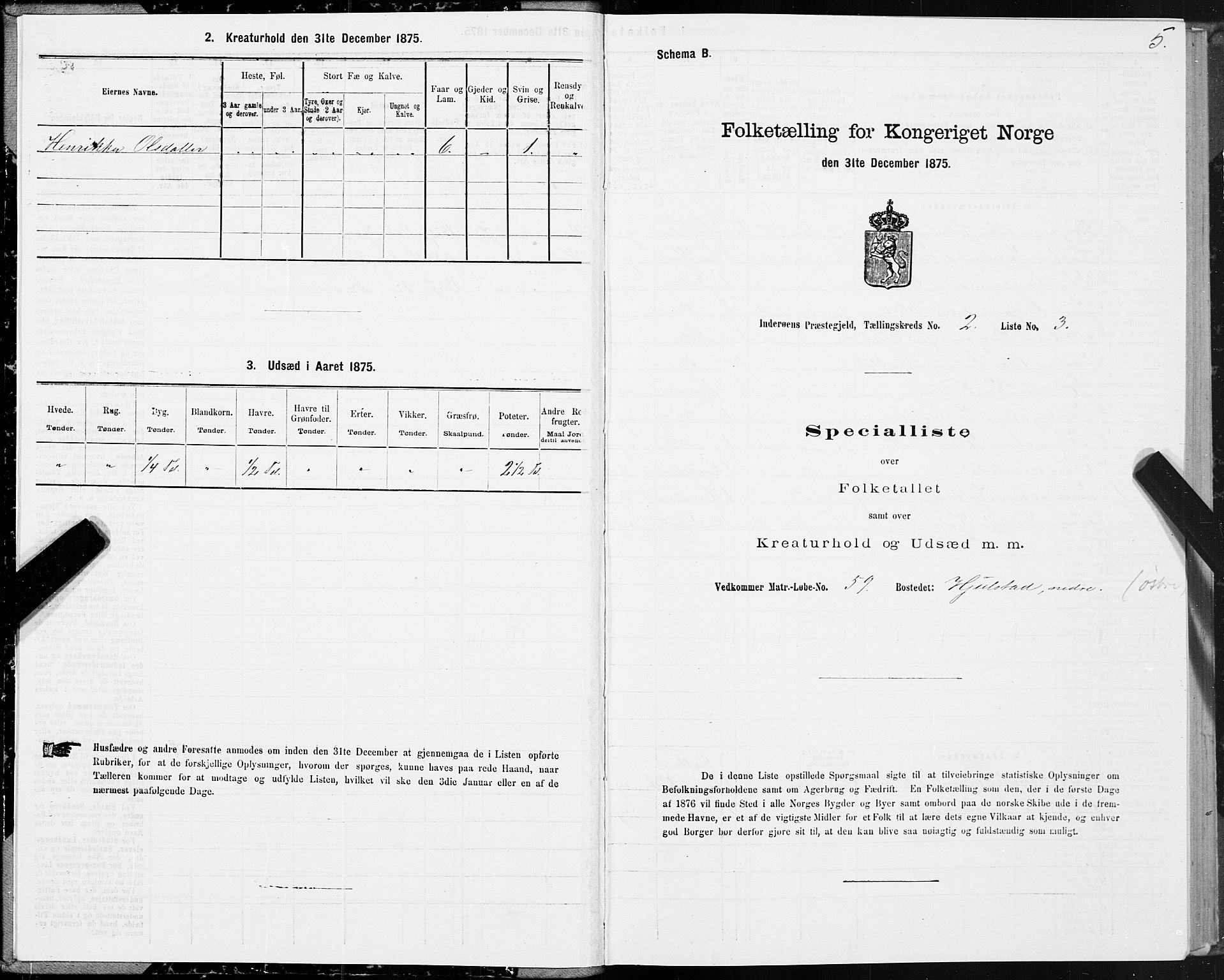 SAT, 1875 census for 1729P Inderøy, 1875, p. 2005