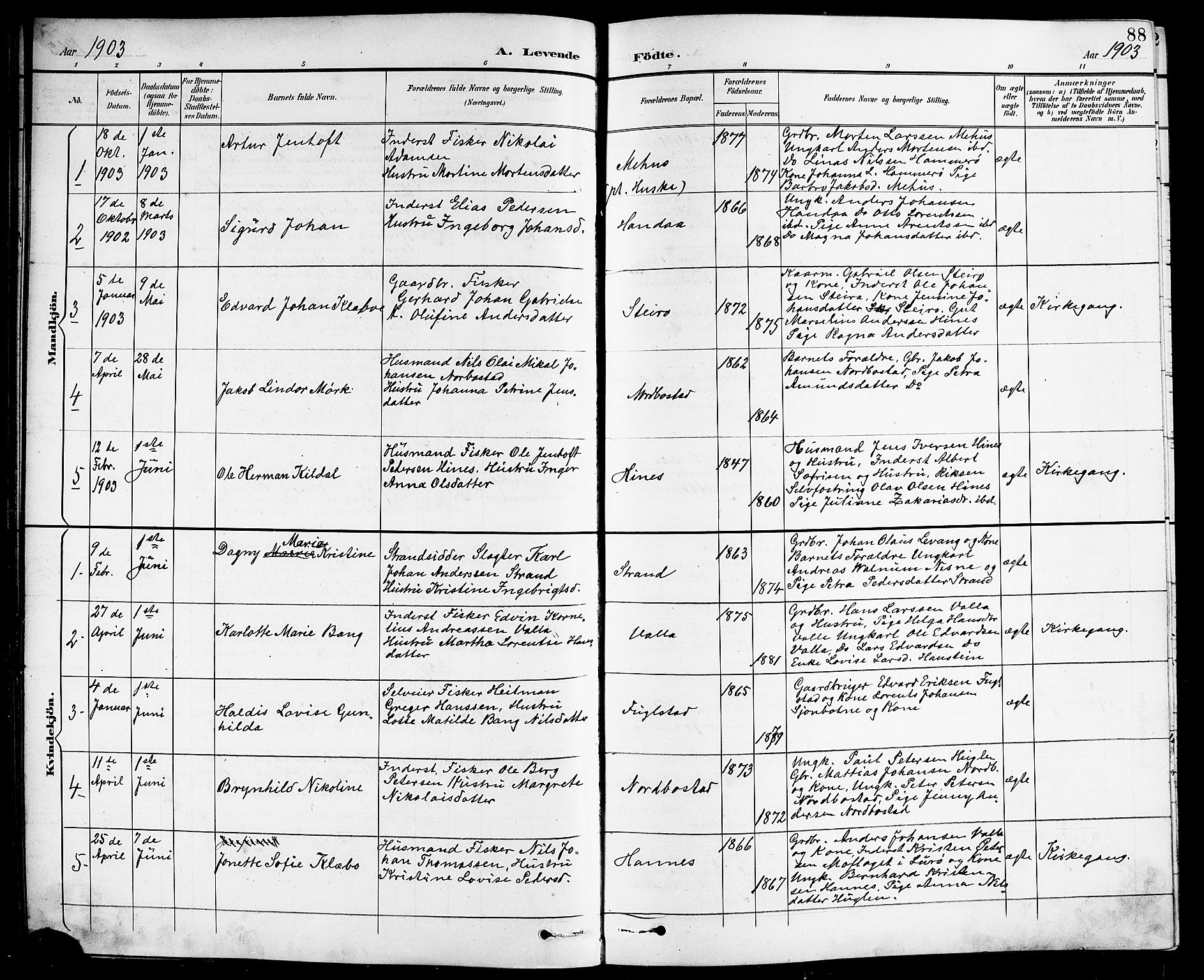 Ministerialprotokoller, klokkerbøker og fødselsregistre - Nordland, SAT/A-1459/838/L0559: Parish register (copy) no. 838C06, 1893-1910, p. 88