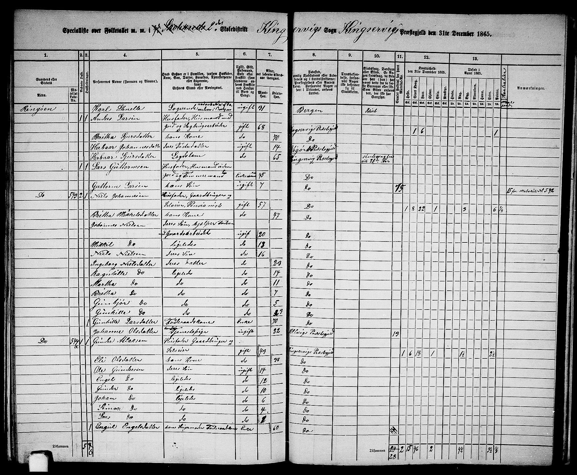 RA, 1865 census for Kinsarvik, 1865, p. 235