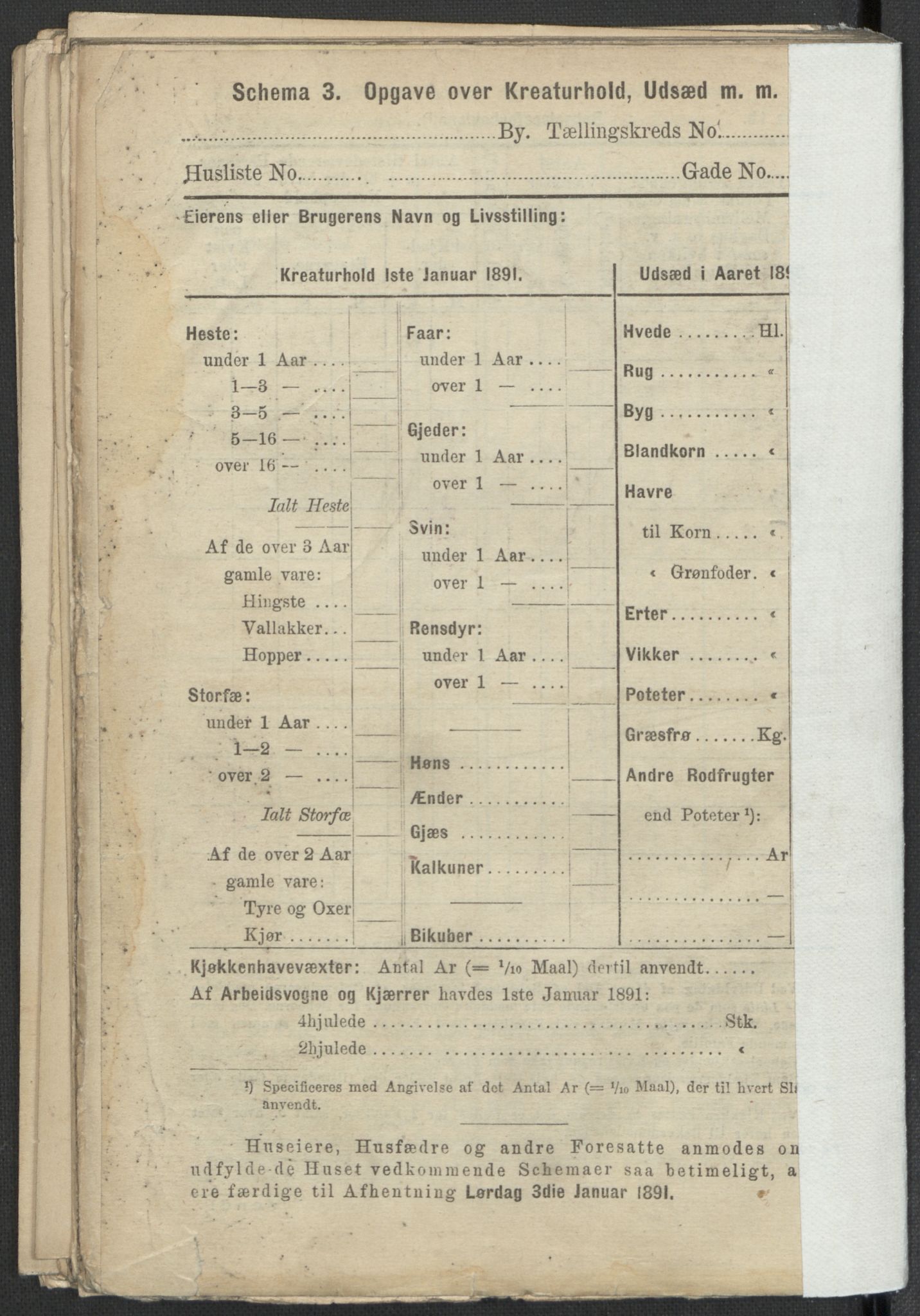 RA, 1891 Census for 1301 Bergen, 1891, p. 1592