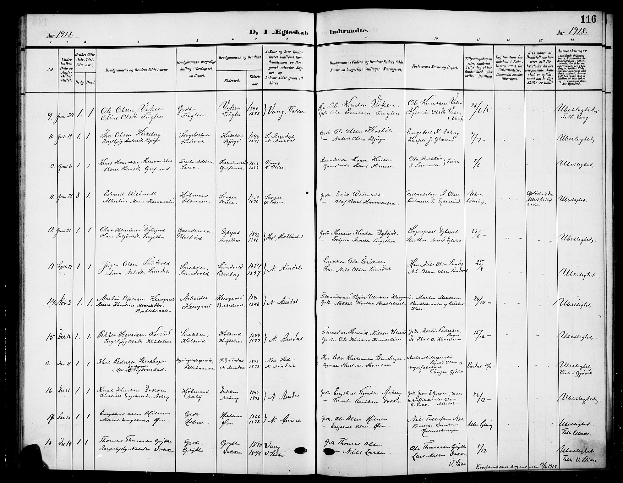 Nord-Aurdal prestekontor, AV/SAH-PREST-132/H/Ha/Hab/L0012: Parish register (copy) no. 12, 1907-1920, p. 116