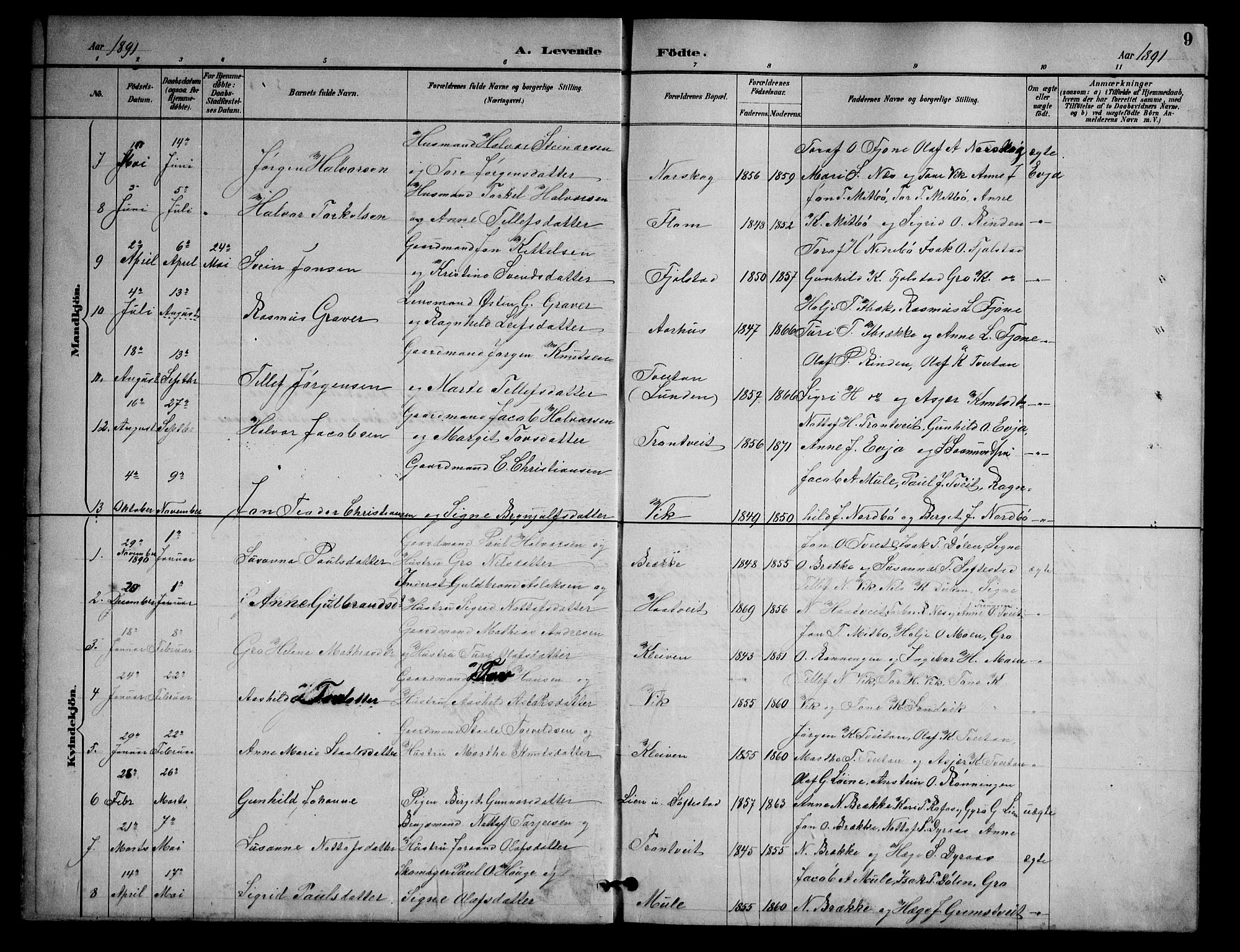 Nissedal kirkebøker, SAKO/A-288/G/Ga/L0003: Parish register (copy) no. I 3, 1887-1911, p. 9