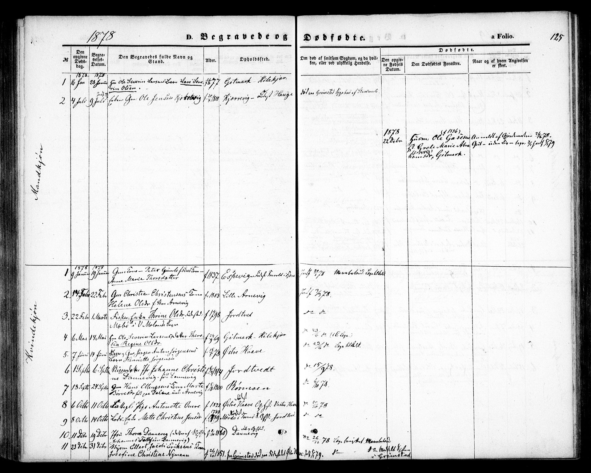 Hommedal sokneprestkontor, AV/SAK-1111-0023/F/Fa/Faa/L0002: Parish register (official) no. A 2, 1861-1884, p. 125