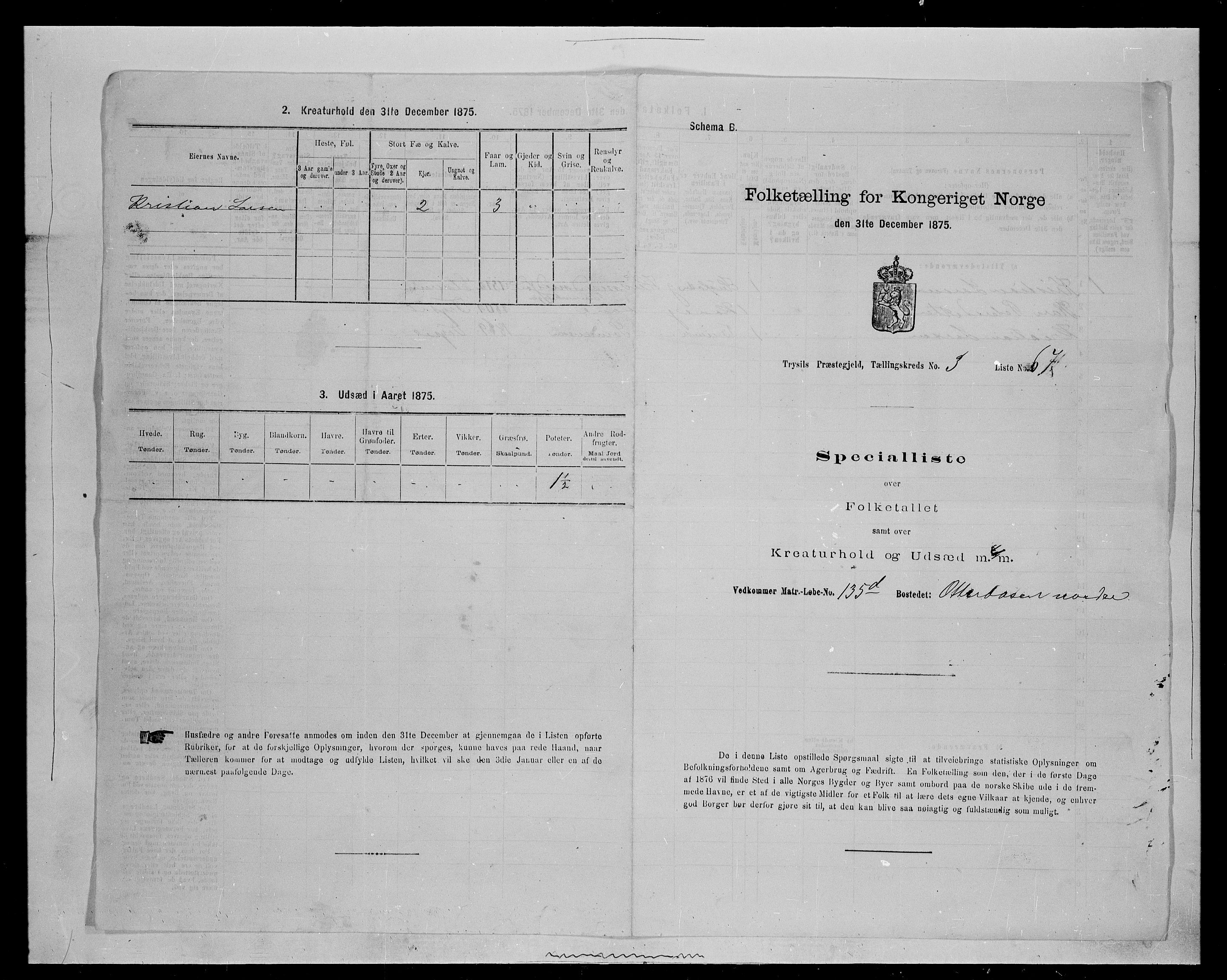 SAH, 1875 census for 0428P Trysil, 1875, p. 536