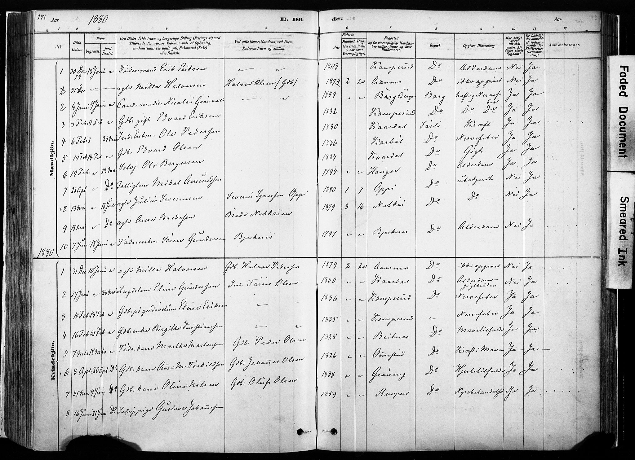 Hof prestekontor, SAH/PREST-038/H/Ha/Haa/L0010: Parish register (official) no. 10, 1878-1909, p. 251