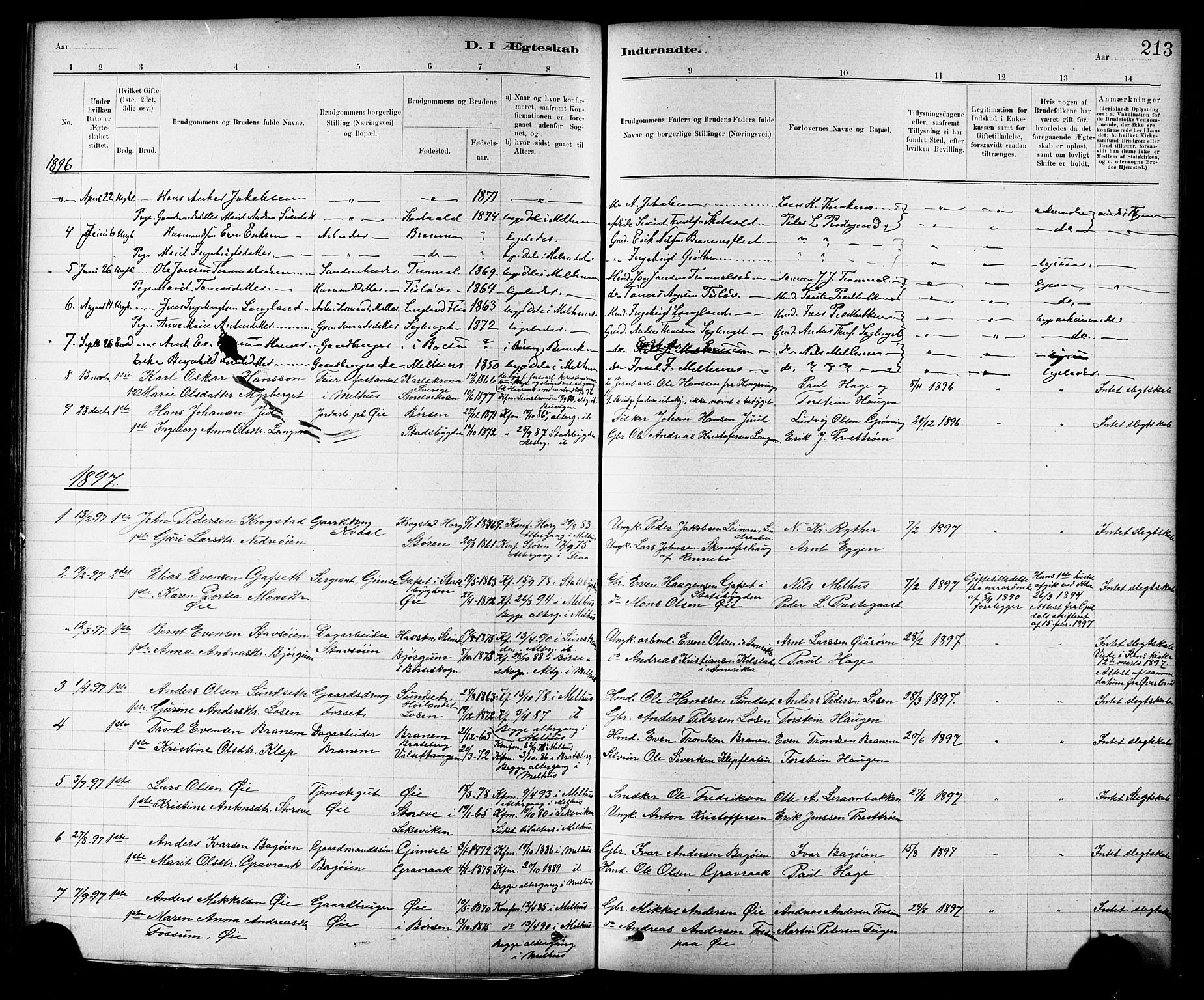 Ministerialprotokoller, klokkerbøker og fødselsregistre - Sør-Trøndelag, SAT/A-1456/691/L1094: Parish register (copy) no. 691C05, 1879-1911, p. 213