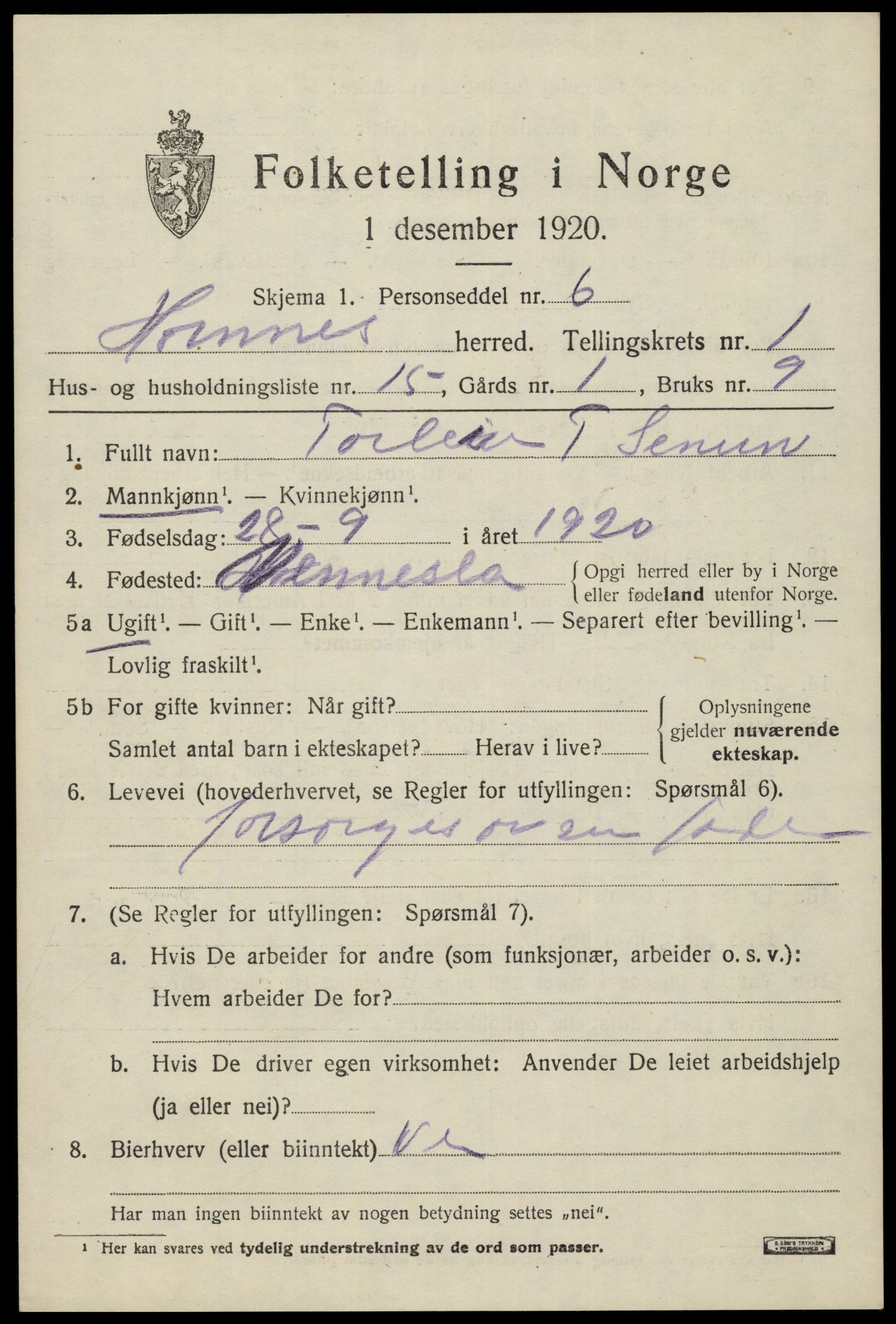 SAK, 1920 census for Hornnes, 1920, p. 685