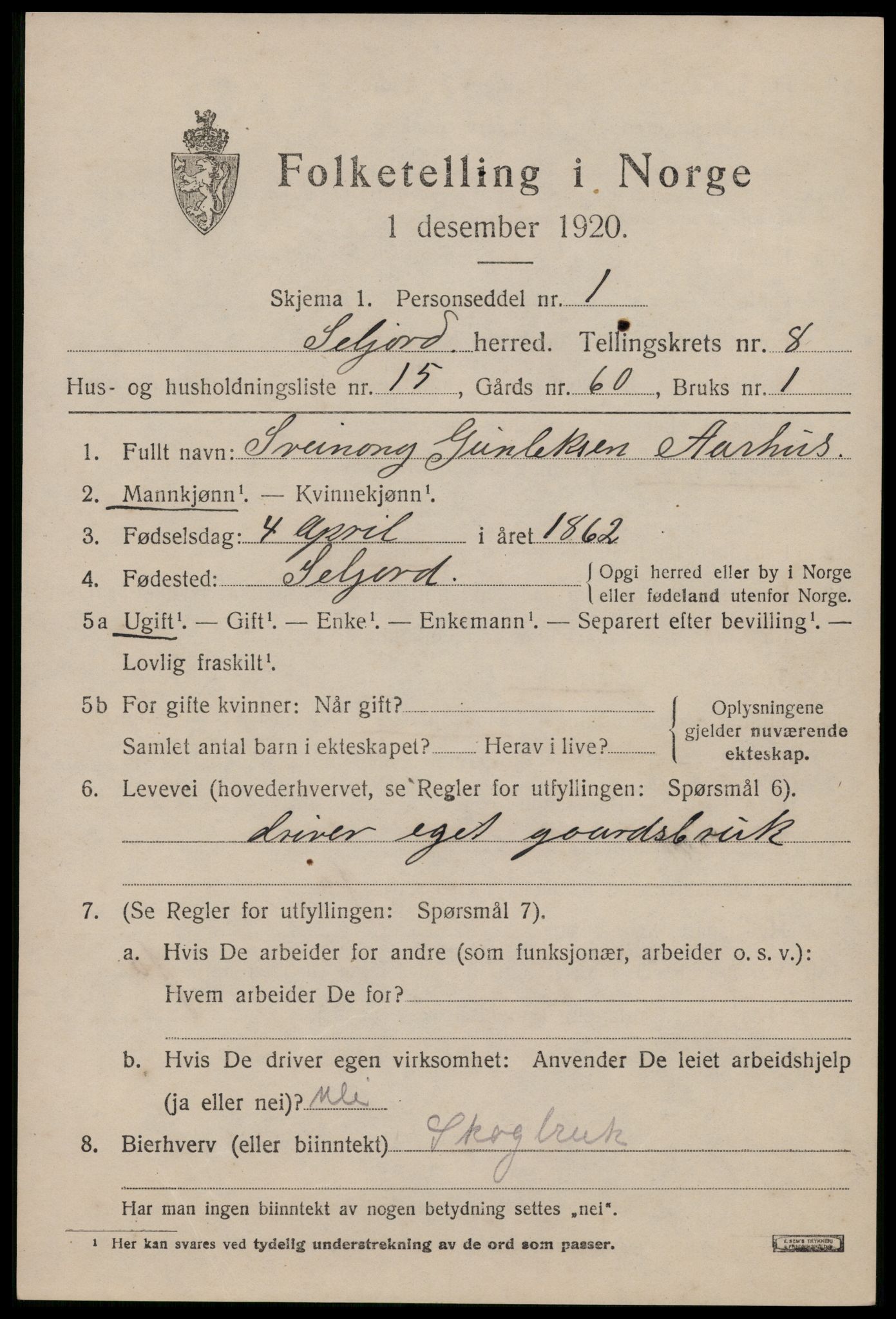 SAKO, 1920 census for Seljord, 1920, p. 4040