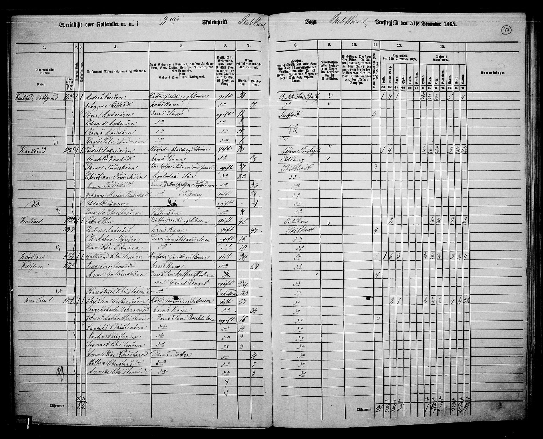 RA, 1865 census for Skiptvet, 1865, p. 70