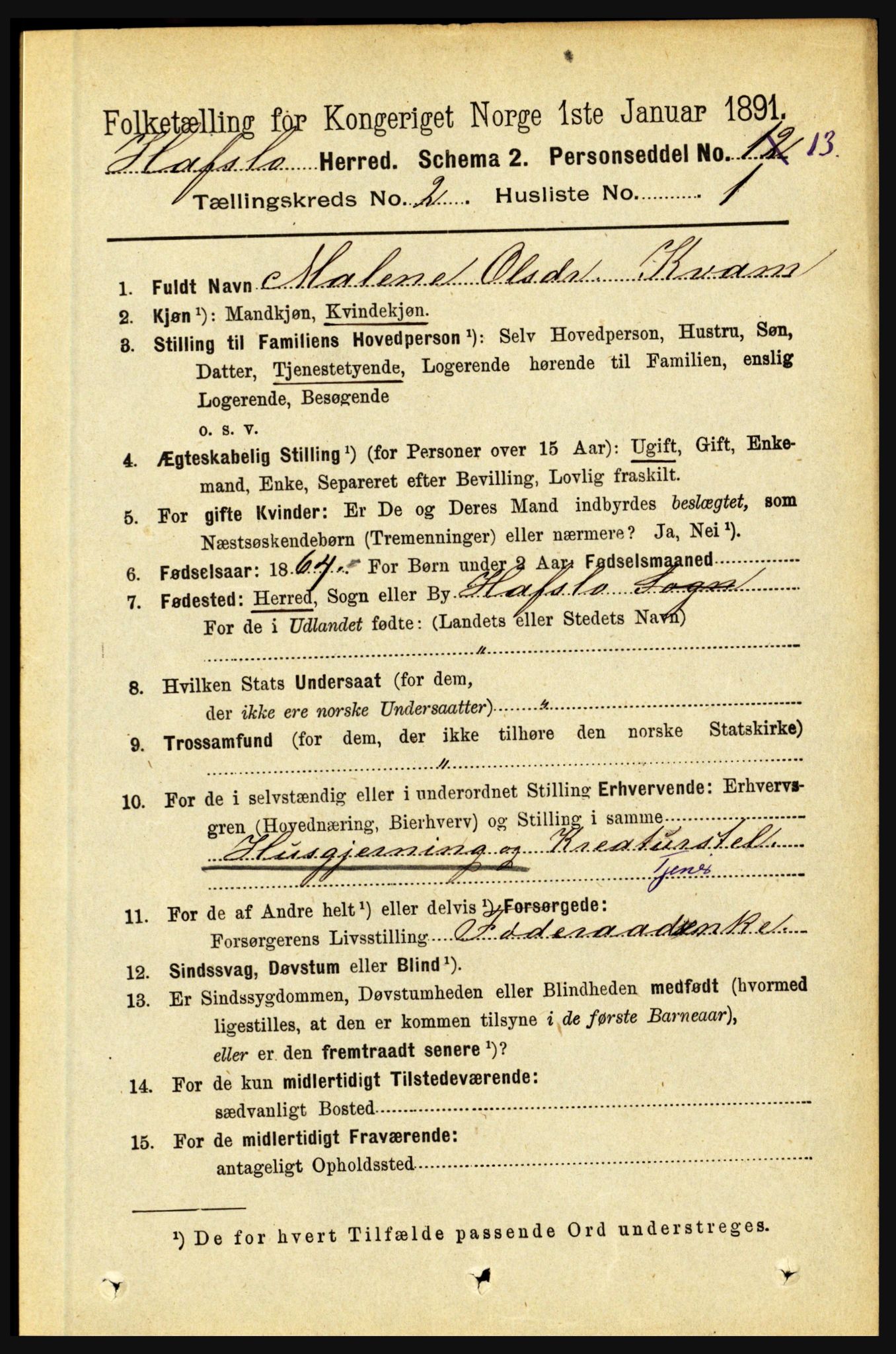 RA, 1891 census for 1425 Hafslo, 1891, p. 555