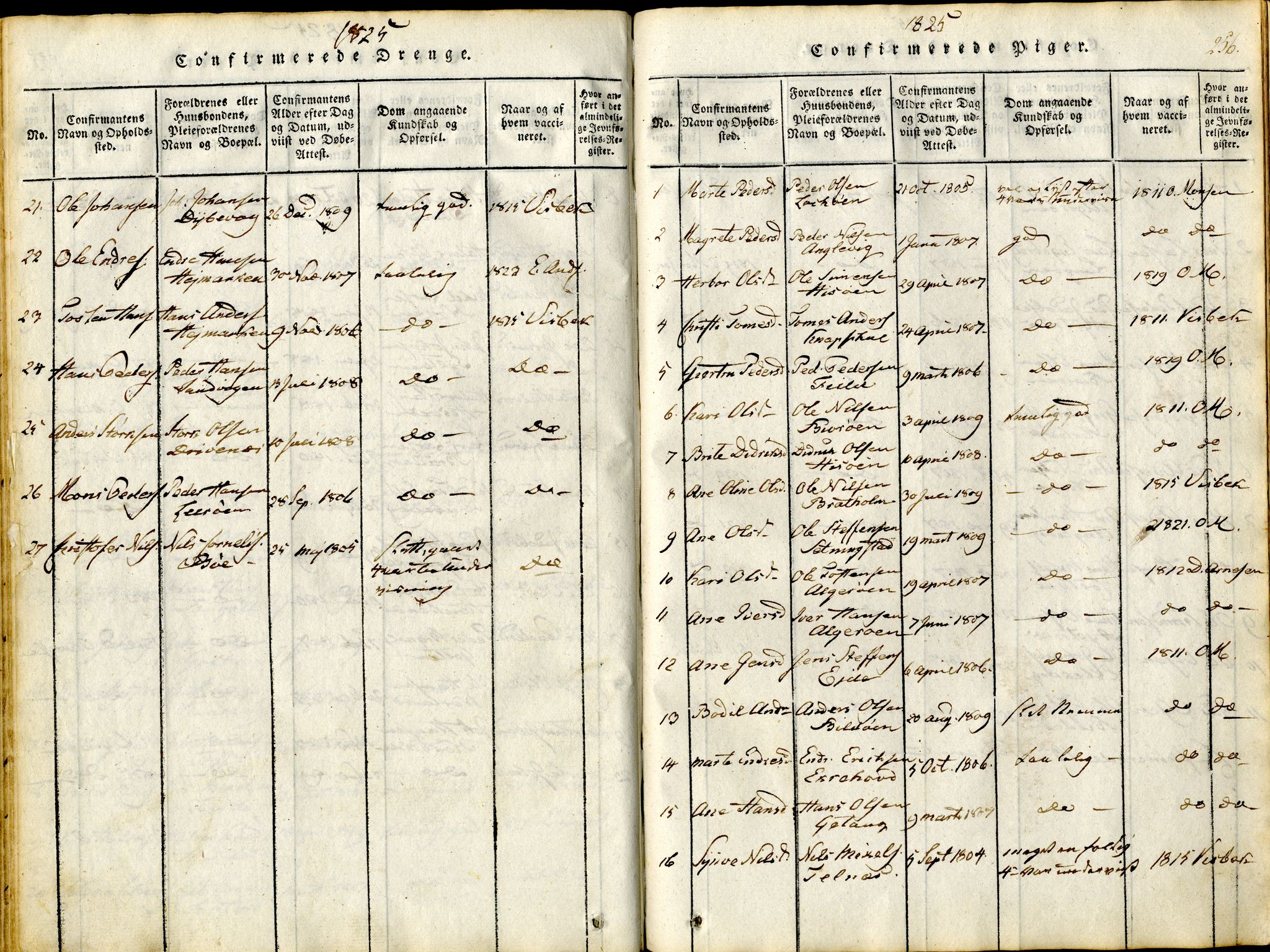 Sund sokneprestembete, AV/SAB-A-99930: Parish register (official) no. A 11, 1814-1825, p. 256