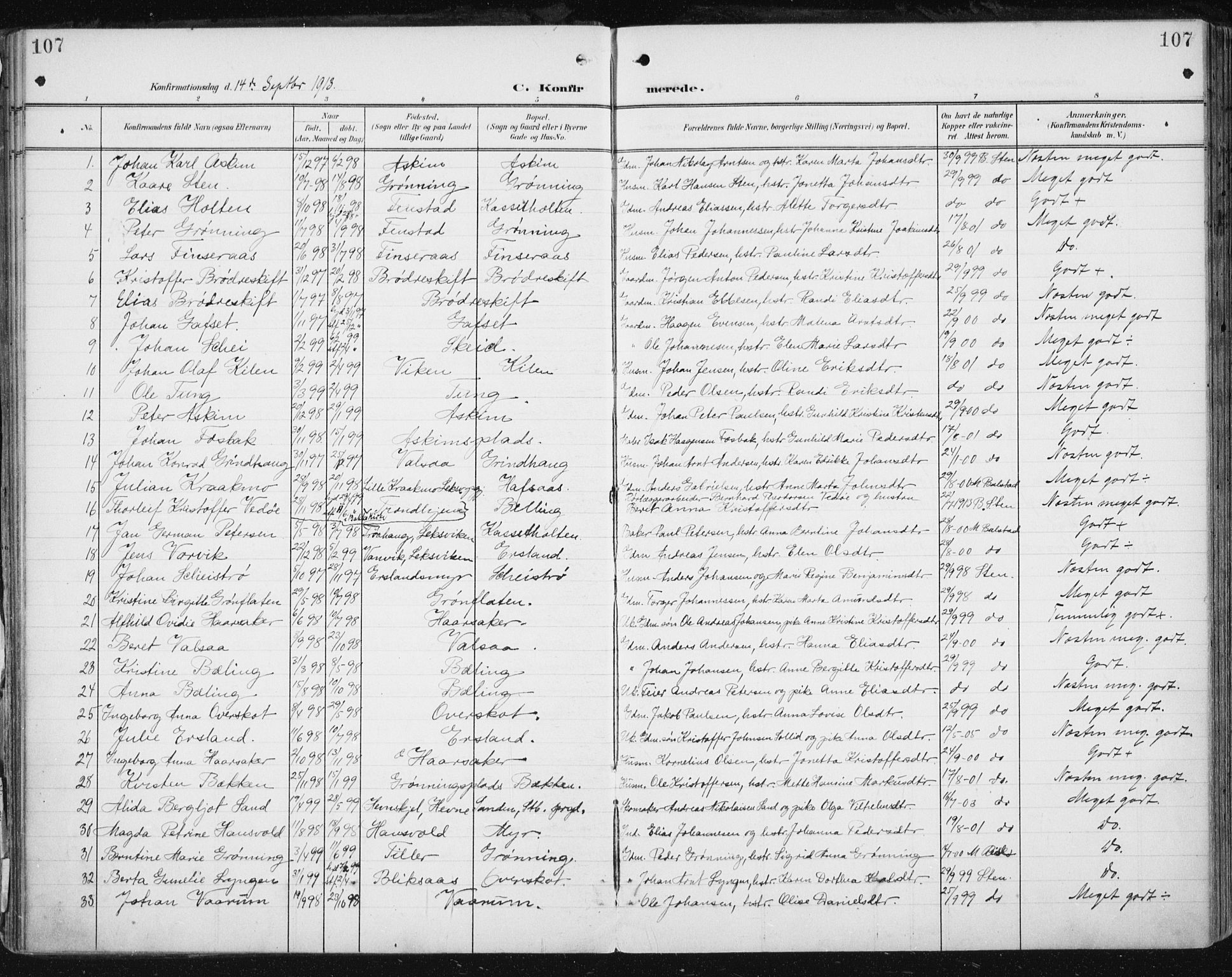 Ministerialprotokoller, klokkerbøker og fødselsregistre - Sør-Trøndelag, SAT/A-1456/646/L0616: Parish register (official) no. 646A14, 1900-1918, p. 107