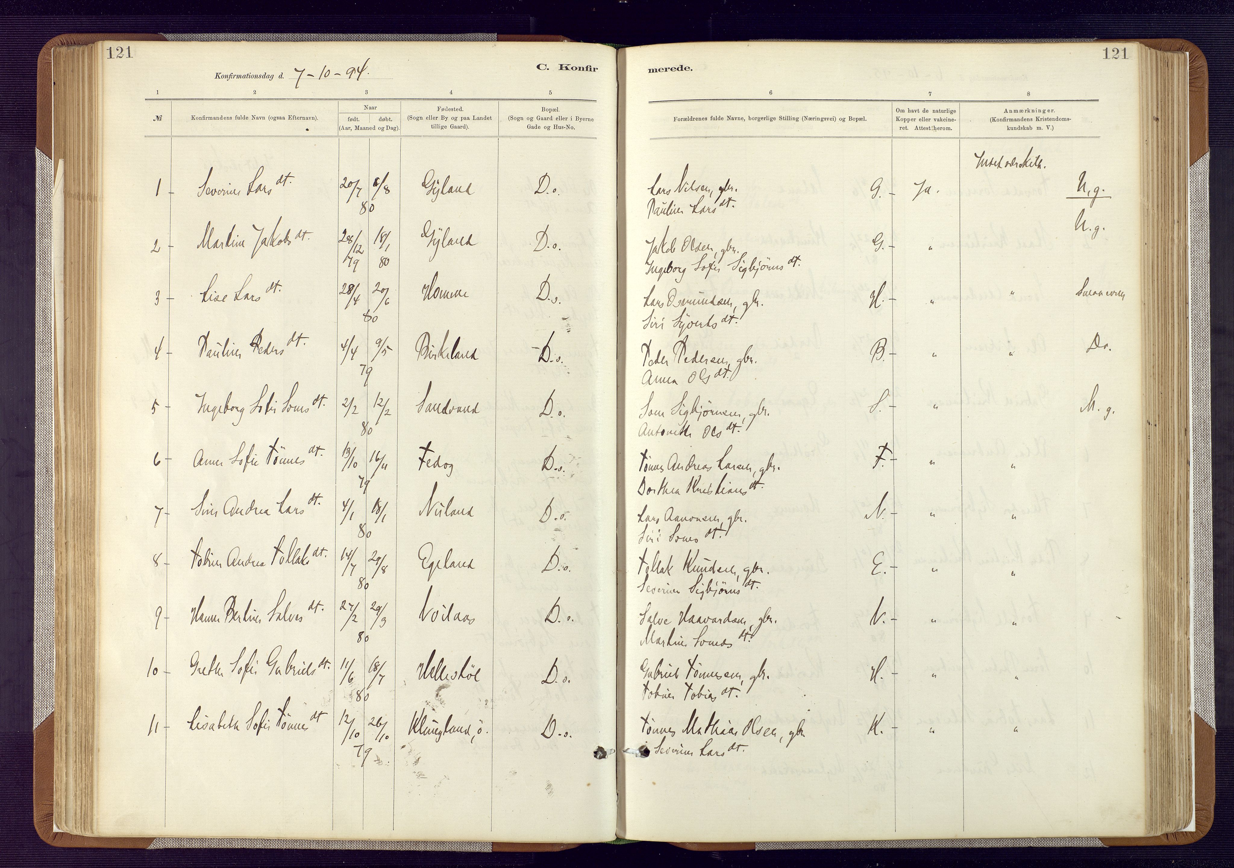 Bakke sokneprestkontor, AV/SAK-1111-0002/F/Fa/Fab/L0003: Parish register (official) no. A 3, 1884-1921, p. 121