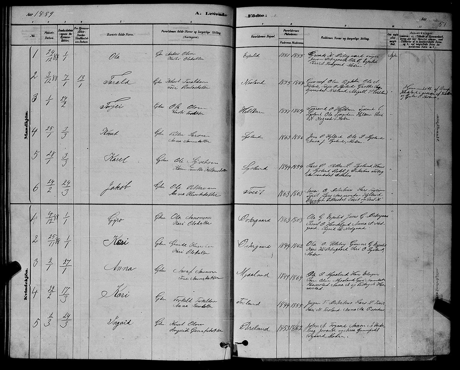 Åseral sokneprestkontor, AV/SAK-1111-0051/F/Fb/L0002: Parish register (copy) no. B 2, 1878-1899, p. 51