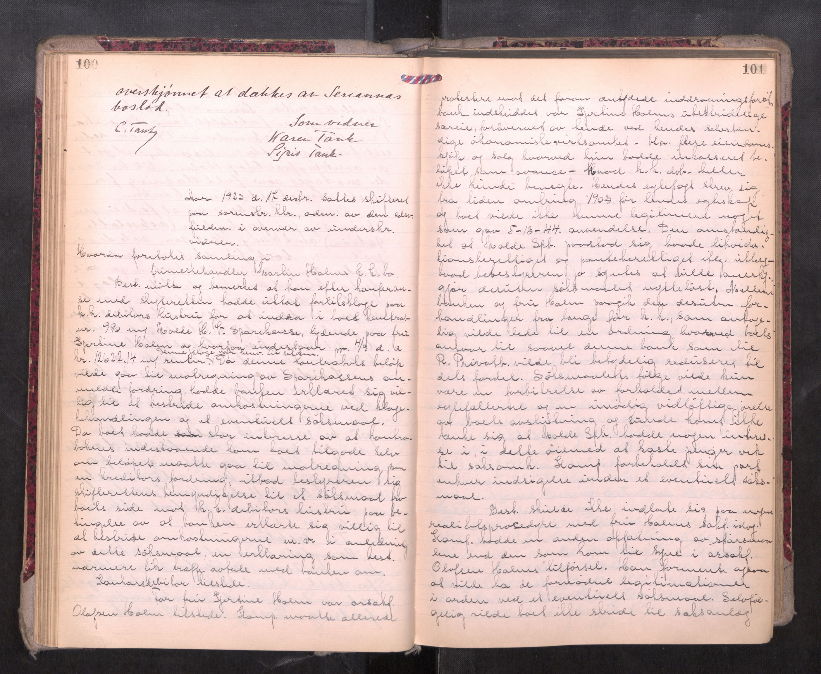Romsdal sorenskriveri, AV/SAT-A-4149/1/3/3B/L0010: Skiftebehandlingsprotokoll, 1923-1925, p. 100-101