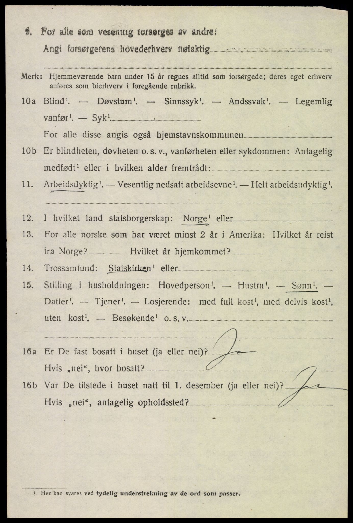 SAH, 1920 census for Vestre Slidre, 1920, p. 4025