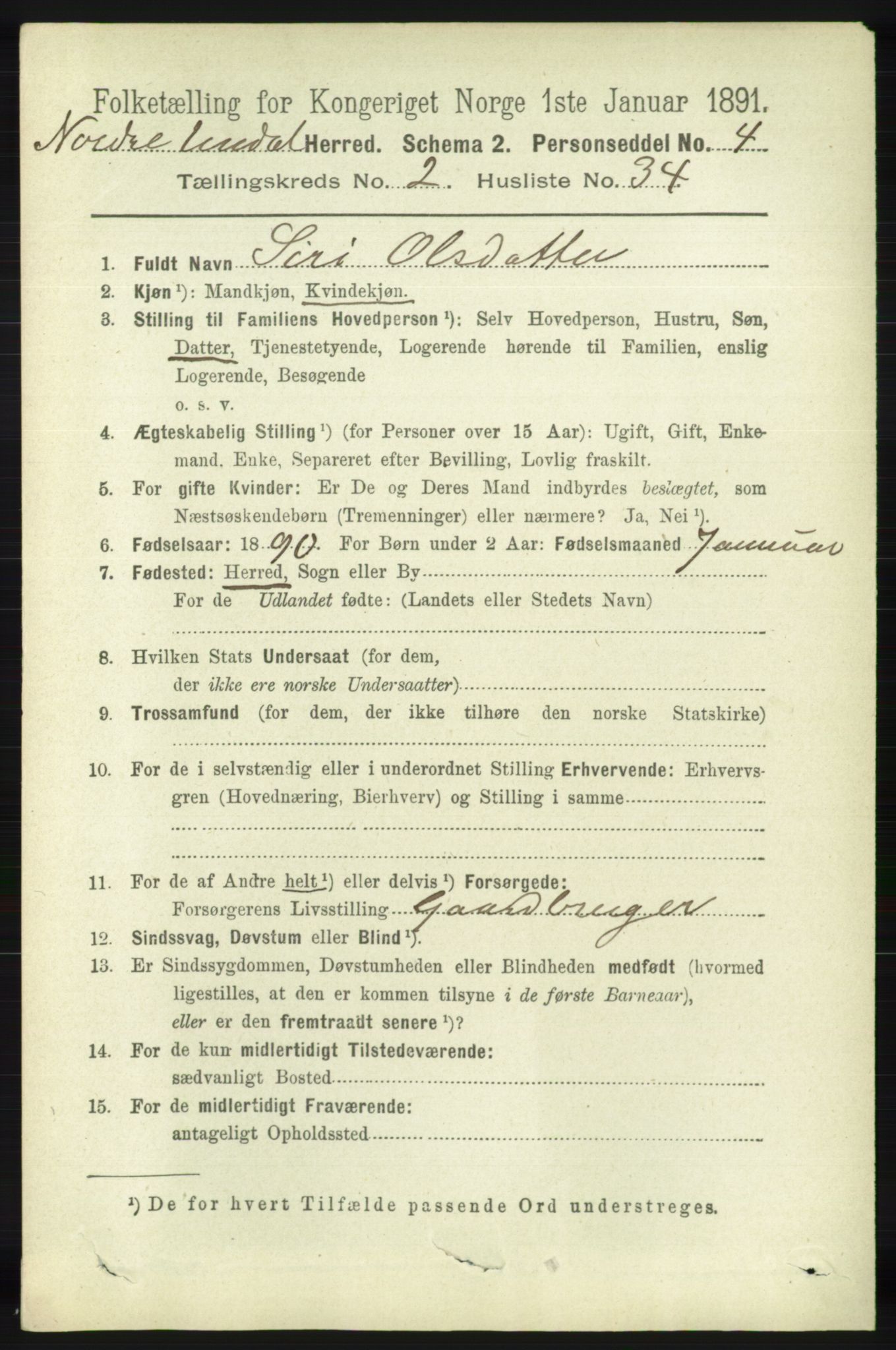 RA, 1891 census for 1028 Nord-Audnedal, 1891, p. 523