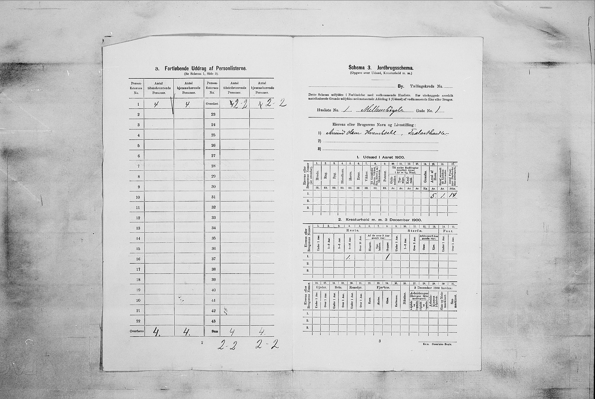 RA, 1900 census for Larvik, 1900, p. 3264