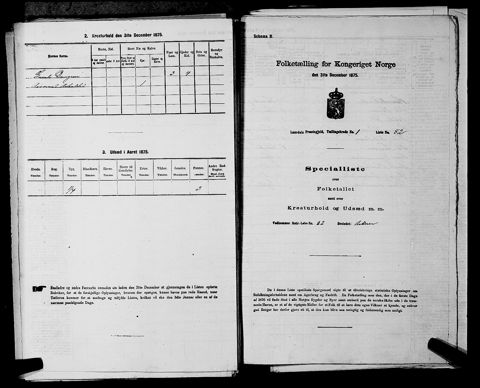 SAKO, 1875 census for 0833P Lårdal, 1875, p. 204