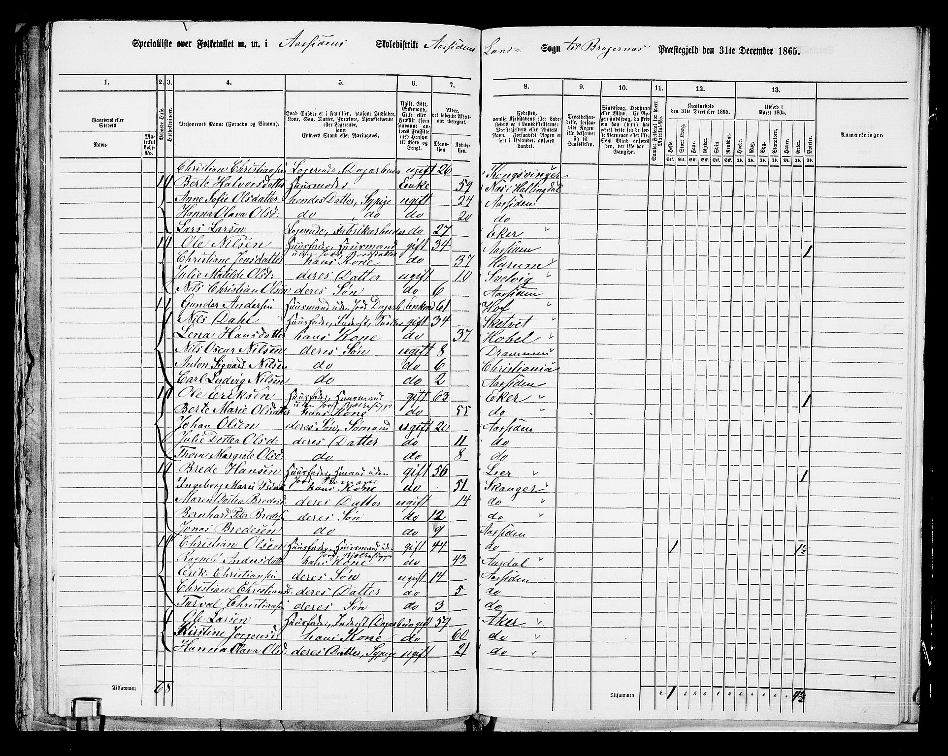 RA, 1865 census for Bragernes/Åssiden, 1865, p. 21