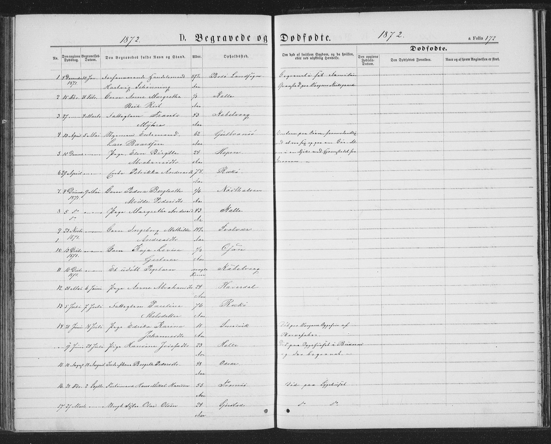 Ministerialprotokoller, klokkerbøker og fødselsregistre - Nordland, AV/SAT-A-1459/874/L1074: Parish register (copy) no. 874C03, 1870-1876, p. 172