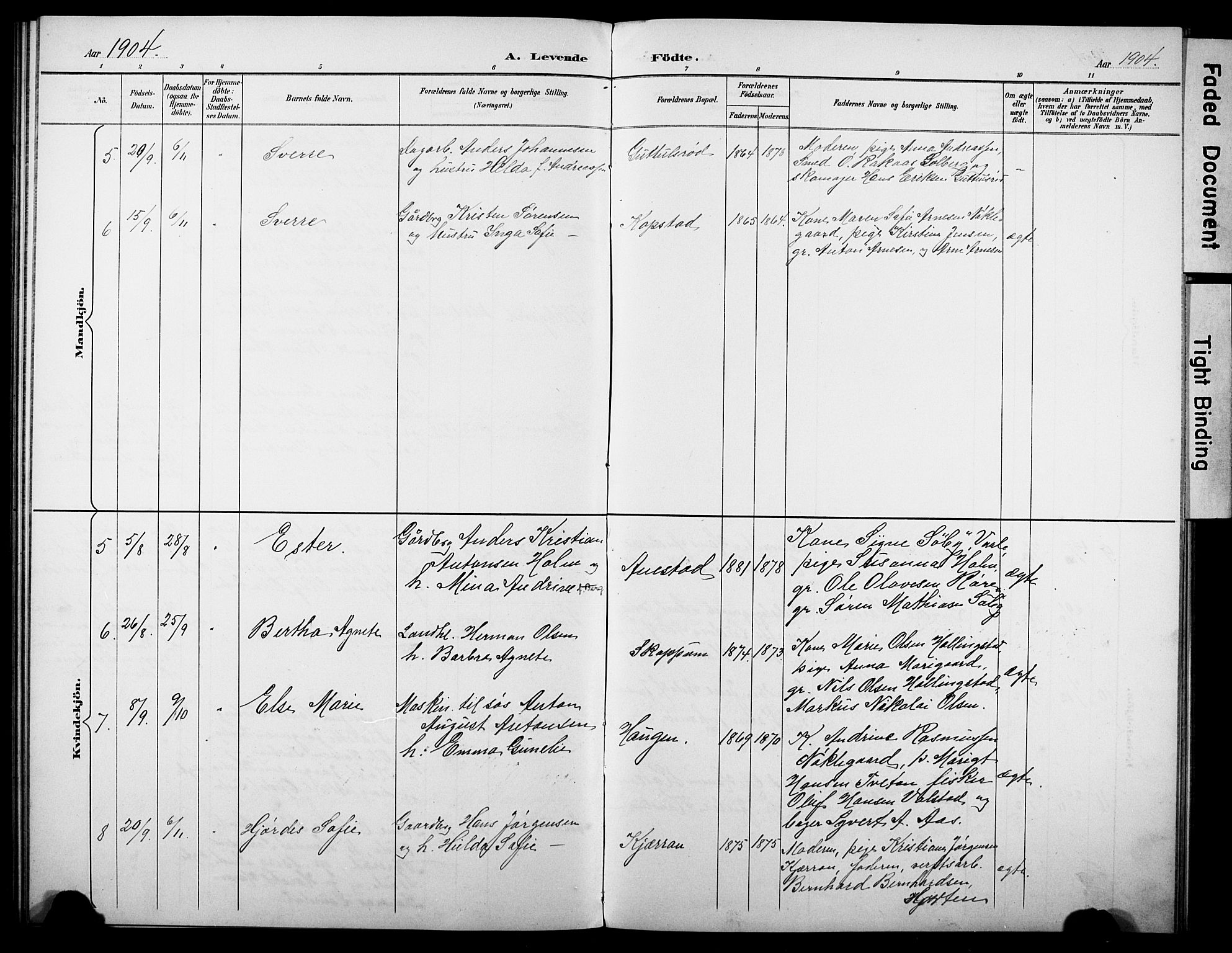 Borre kirkebøker, AV/SAKO-A-338/G/Gb/L0003: Parish register (copy) no. II 3, 1893-1905