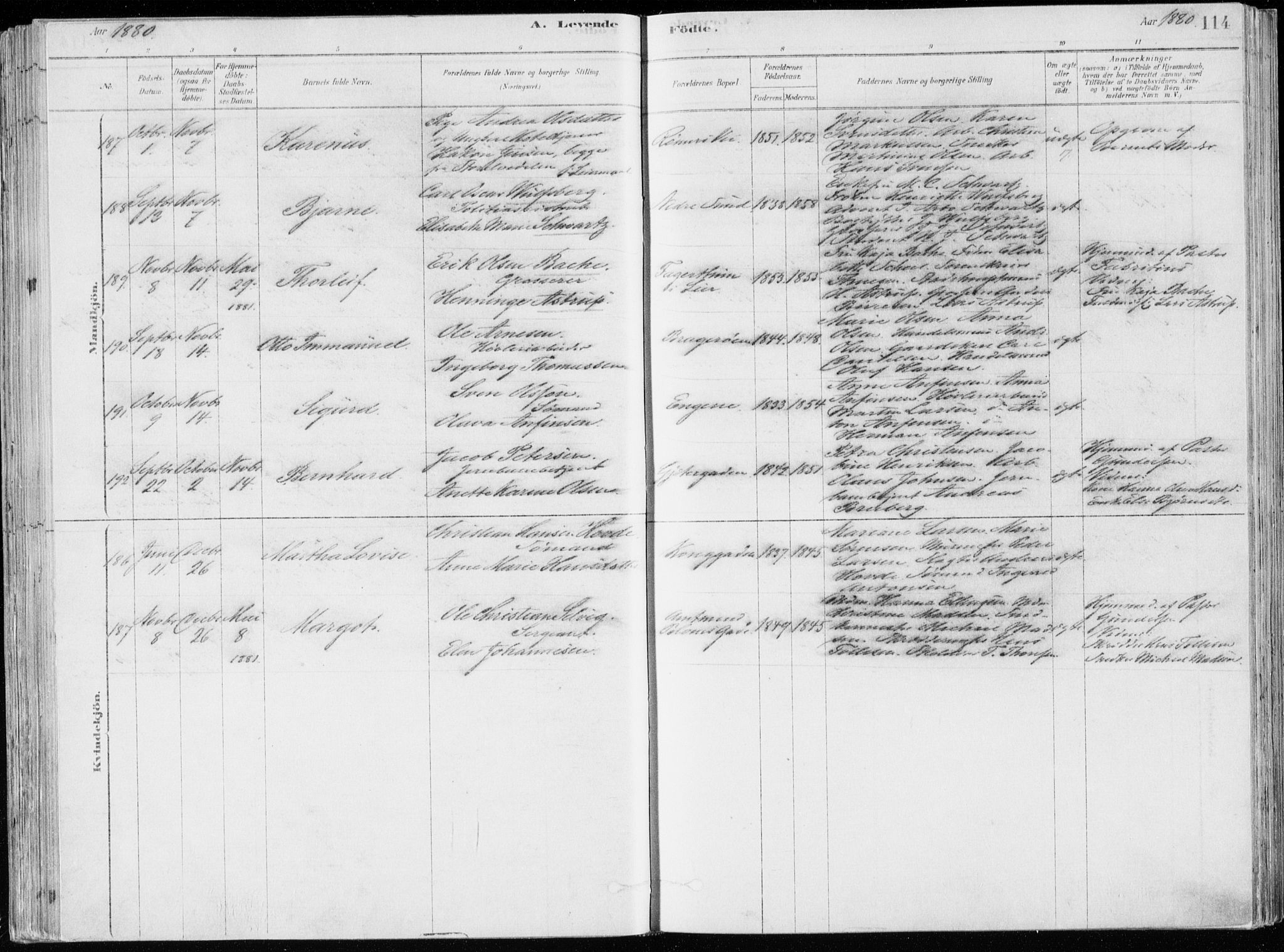 Bragernes kirkebøker, AV/SAKO-A-6/F/Fb/L0006a: Parish register (official) no. II 6A, 1878-1885, p. 114