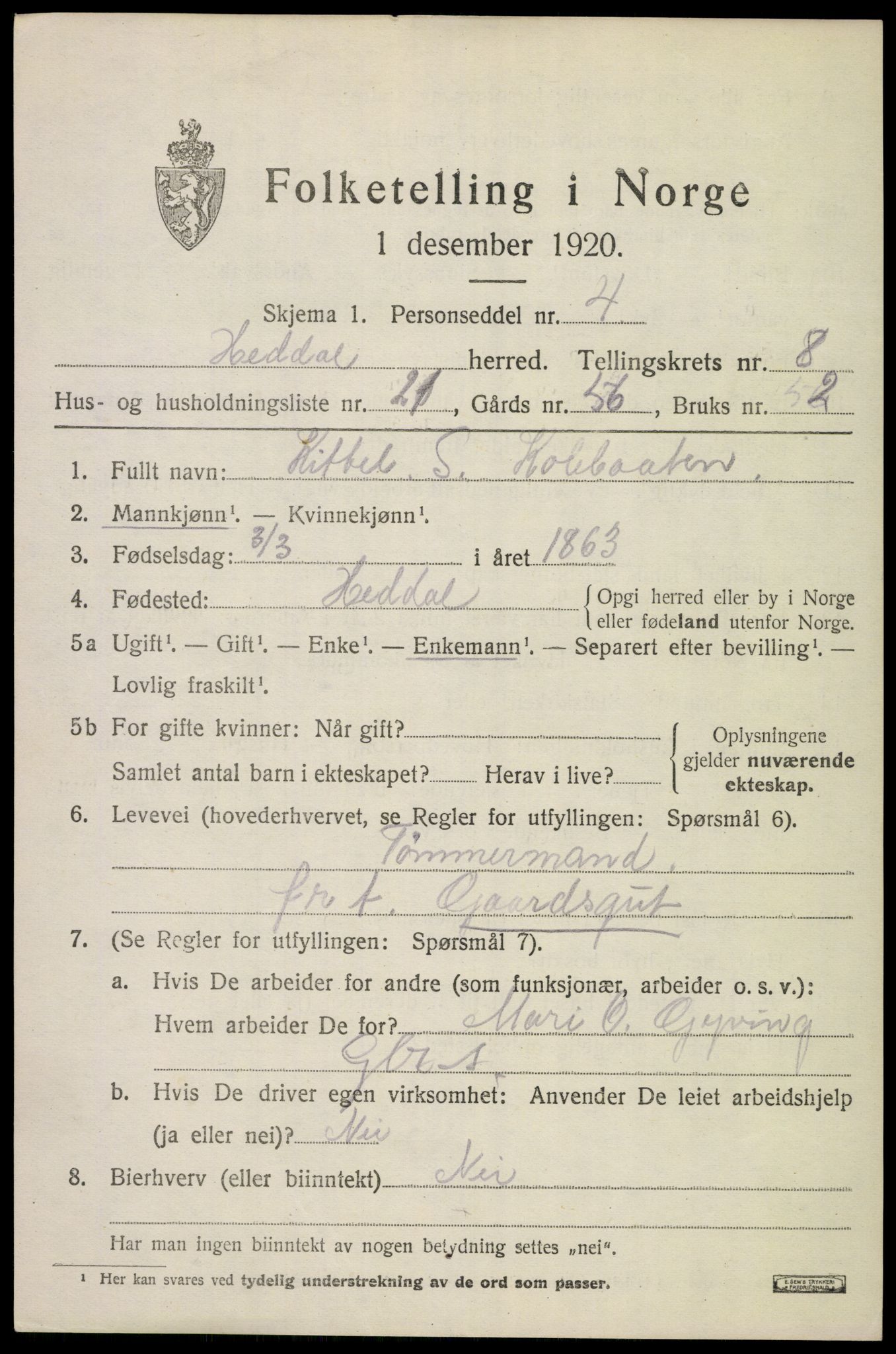 SAKO, 1920 census for Heddal, 1920, p. 6244