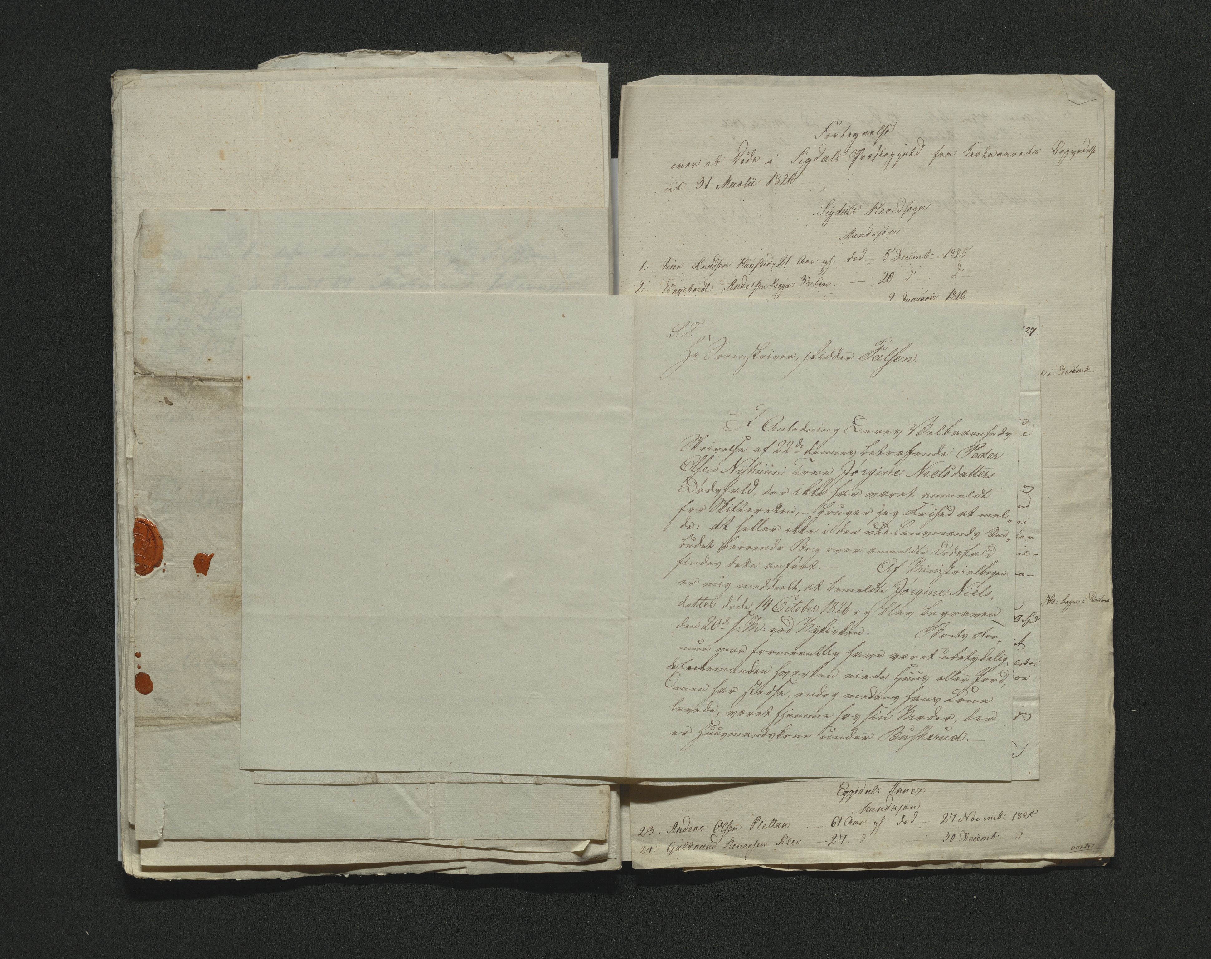 Eiker, Modum og Sigdal sorenskriveri, AV/SAKO-A-123/H/Ha/Hab/L0002: Dødsfallsmeldinger, 1823-1829, p. 131