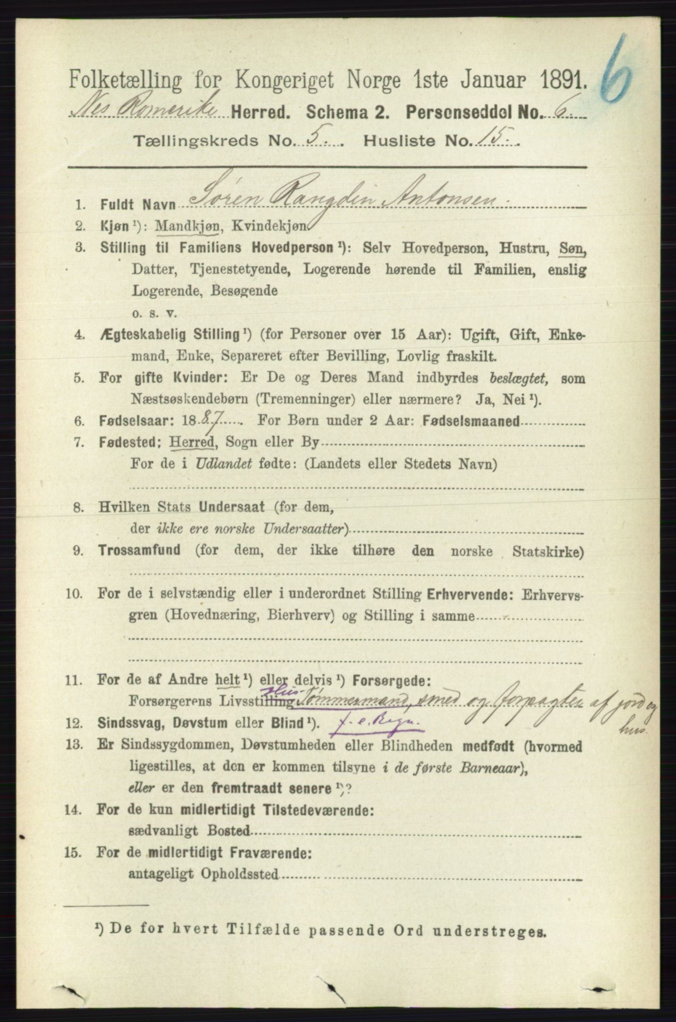 RA, 1891 census for 0236 Nes, 1891, p. 2876