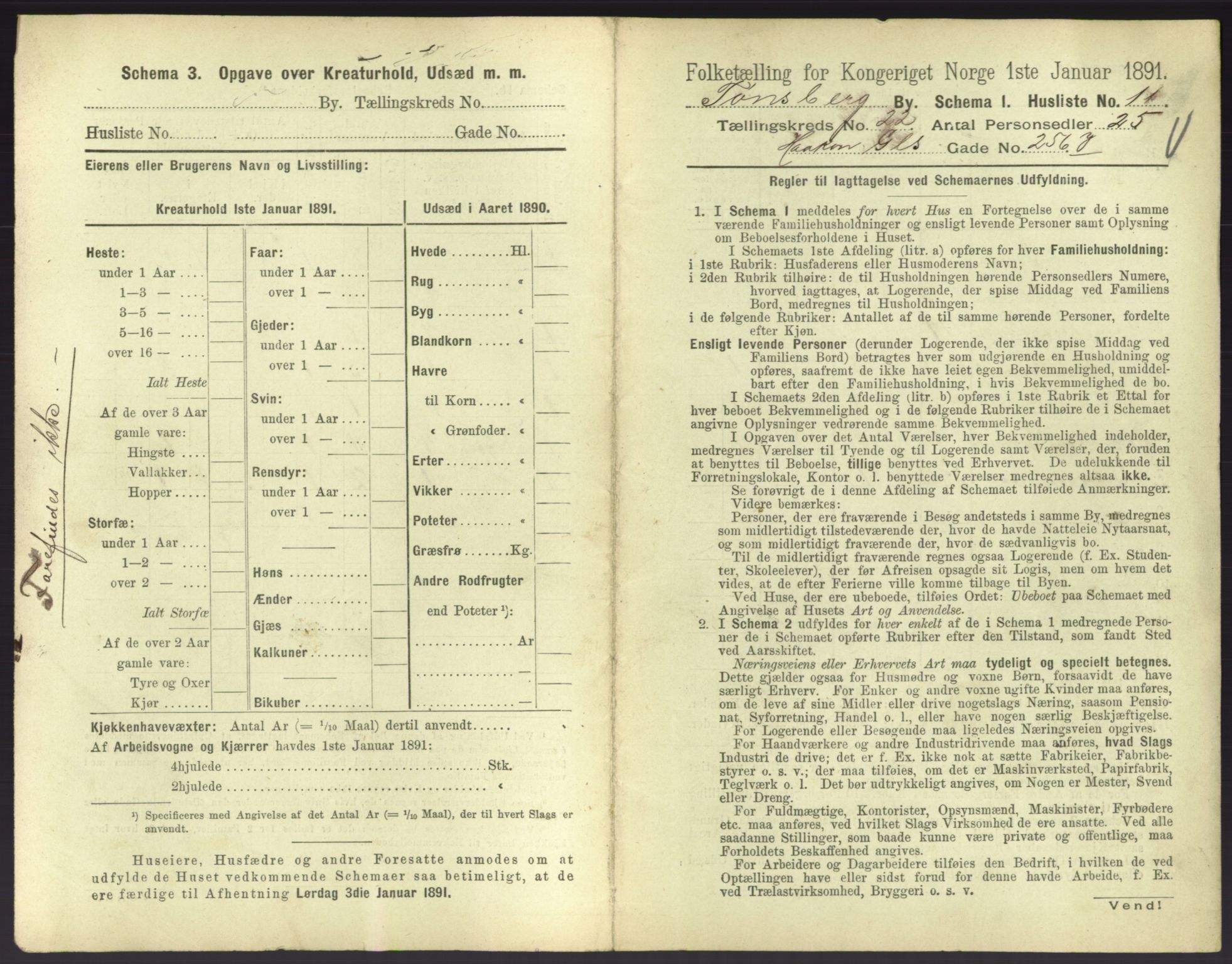 RA, 1891 census for 0705 Tønsberg, 1891, p. 738