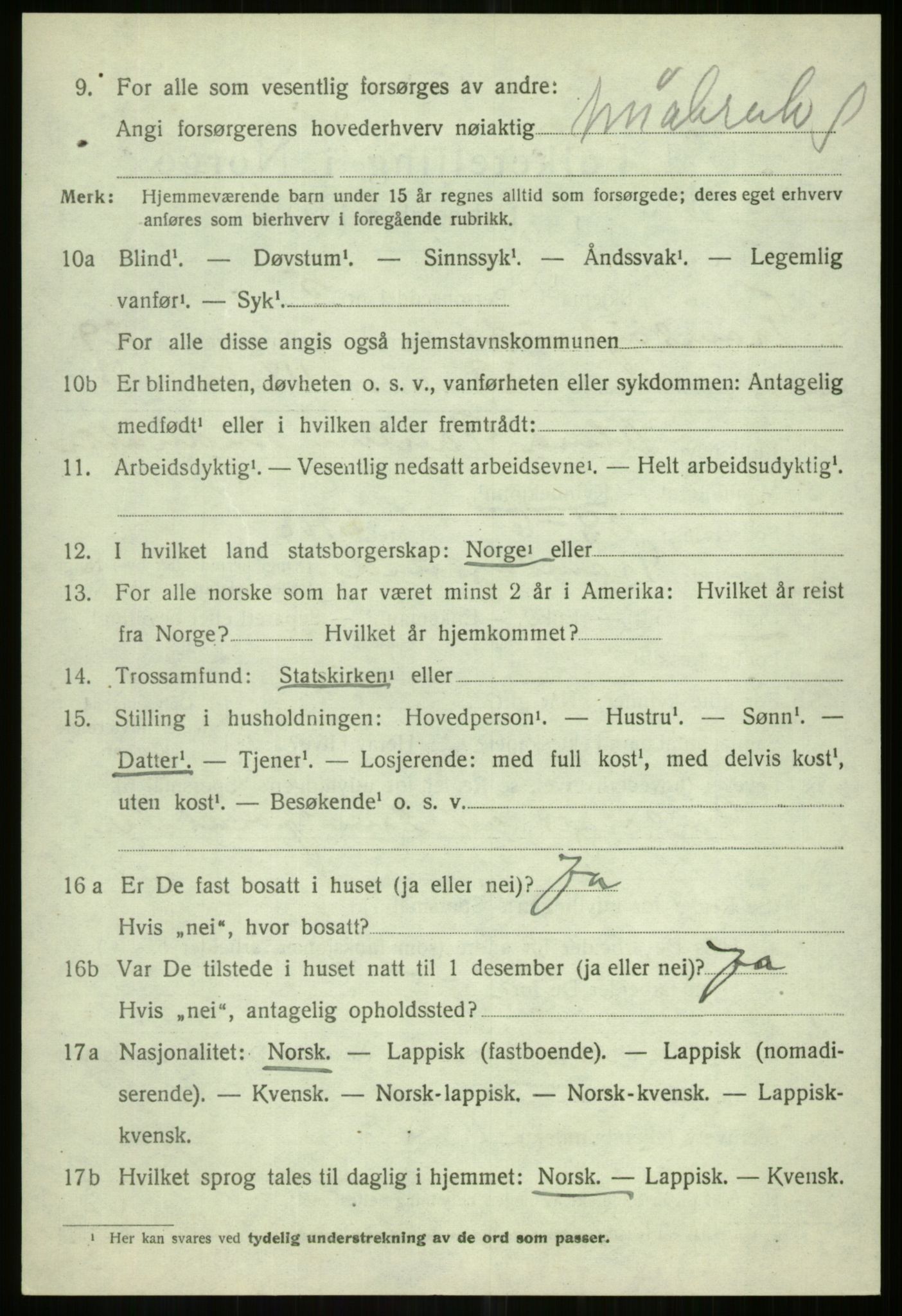 SATØ, 1920 census for Tromsøysund, 1920, p. 13825