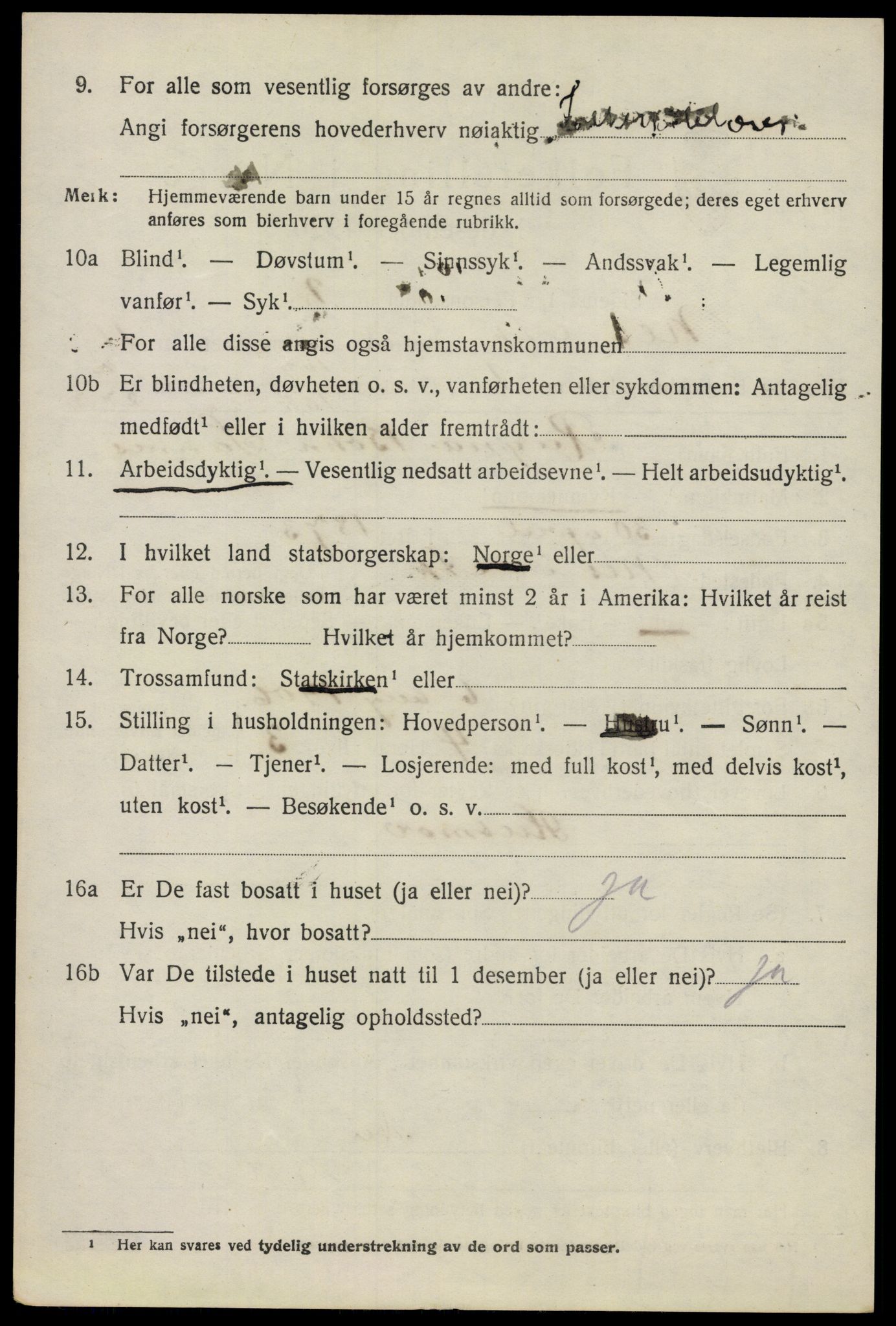 SAO, 1920 census for Nes, 1920, p. 11391