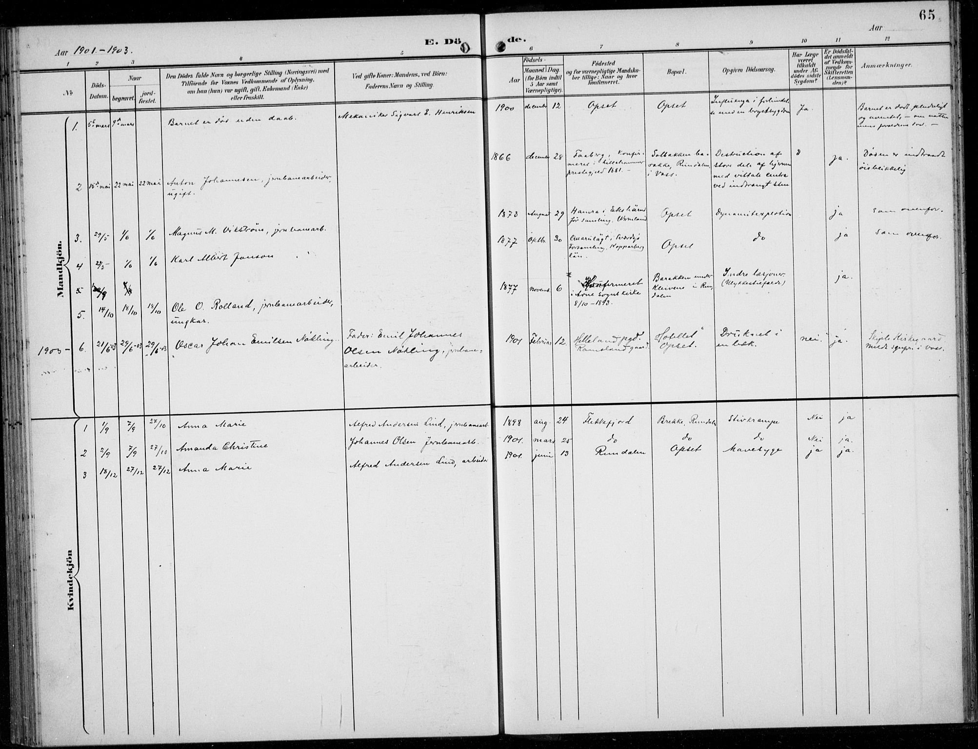 Parish register (official) no. A  1, 1900-1939, p. 65