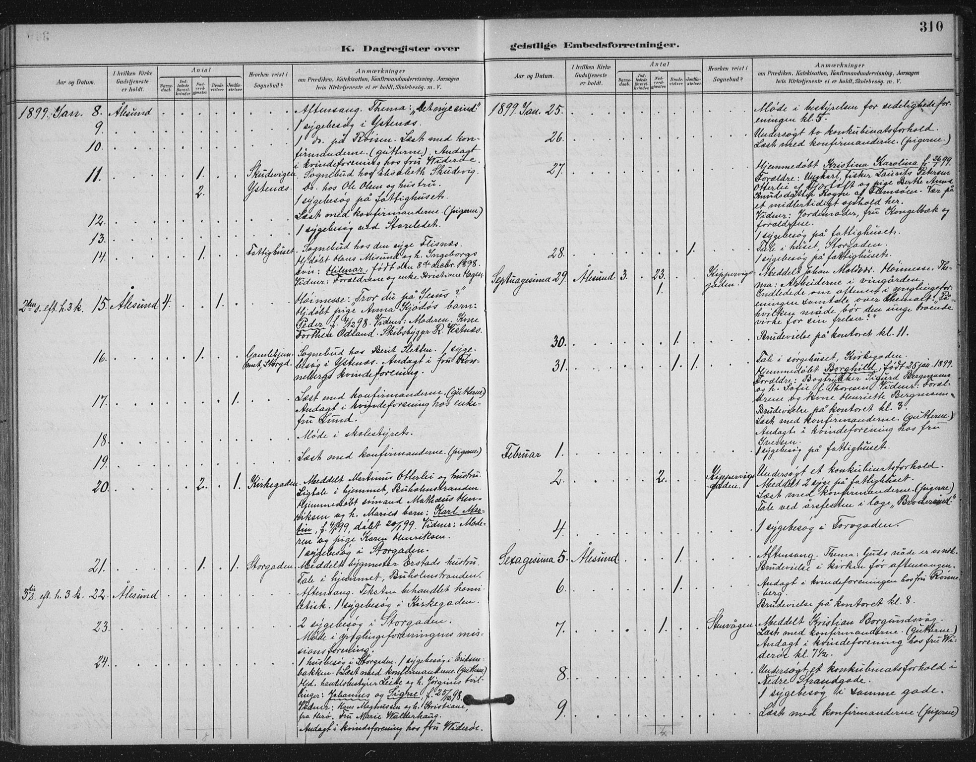 Ministerialprotokoller, klokkerbøker og fødselsregistre - Møre og Romsdal, AV/SAT-A-1454/529/L0457: Parish register (official) no. 529A07, 1894-1903, p. 310