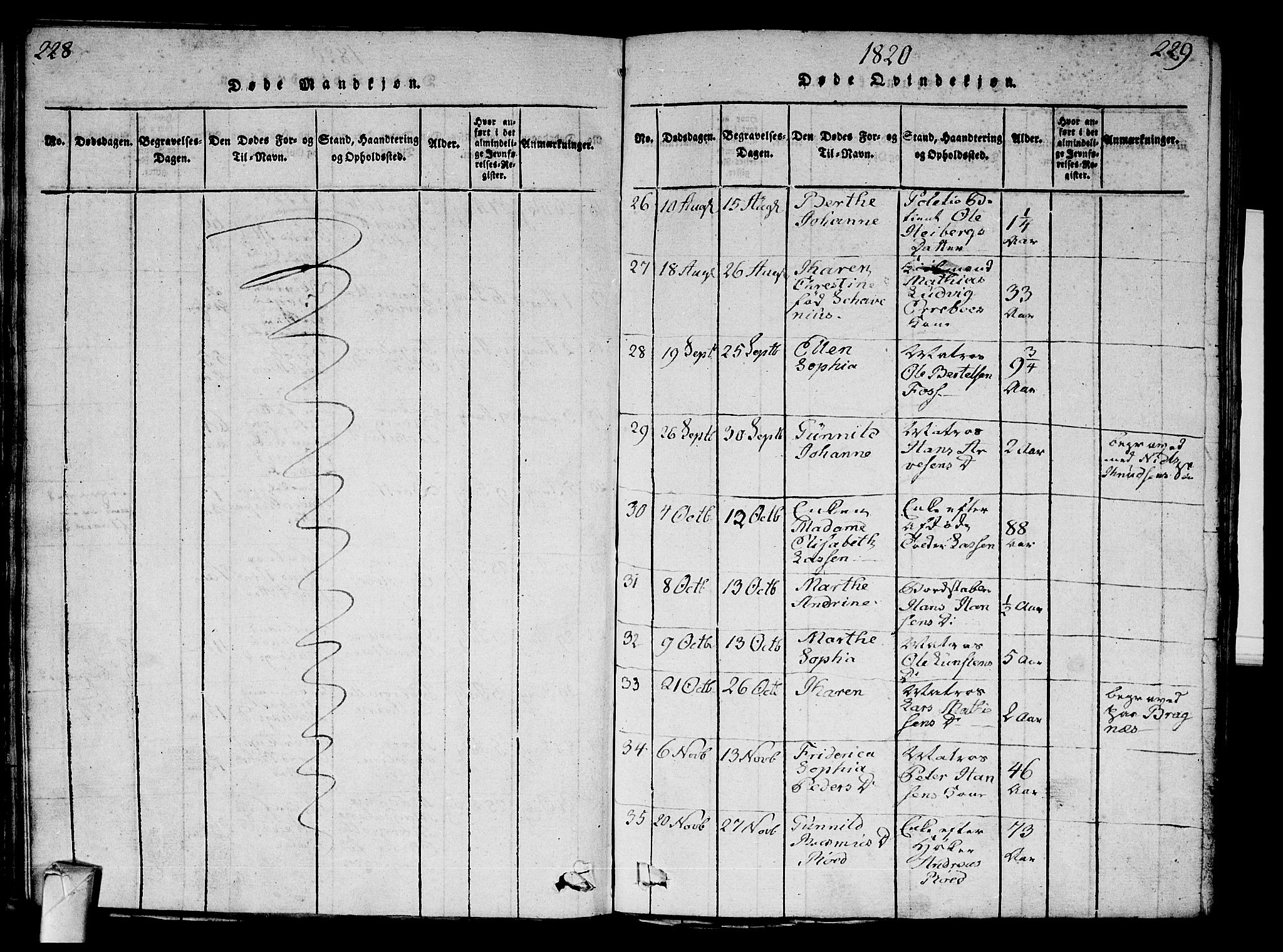 Strømsø kirkebøker, AV/SAKO-A-246/G/Ga/L0001: Parish register (copy) no. 1, 1815-1829, p. 228-229