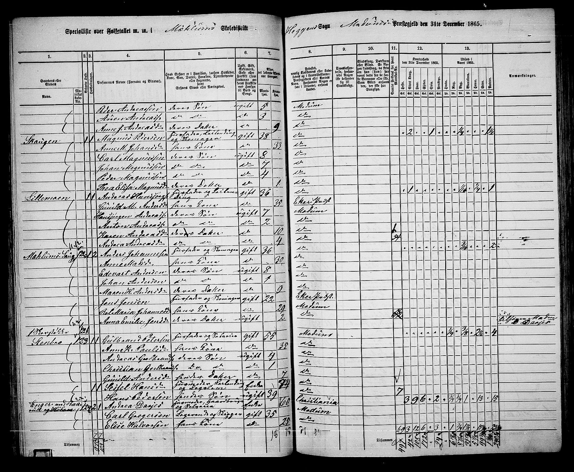 RA, 1865 census for Modum, 1865, p. 83